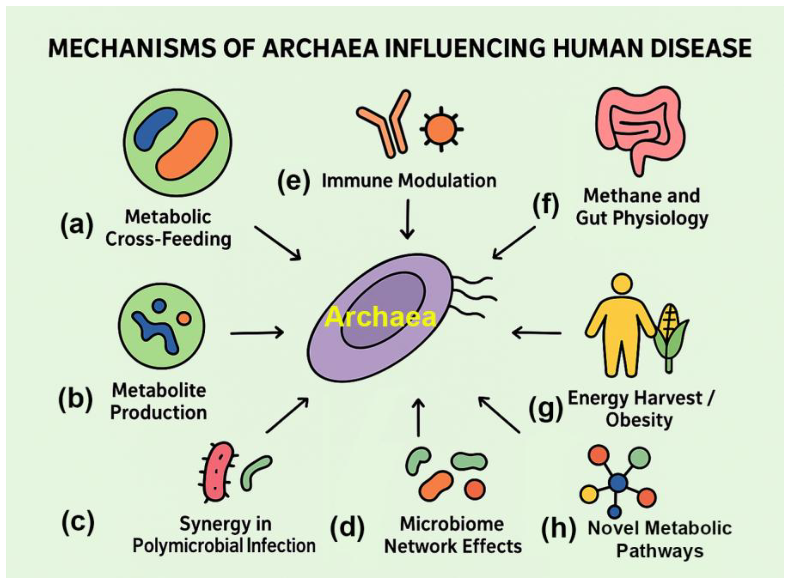 Preprints 176482 g002