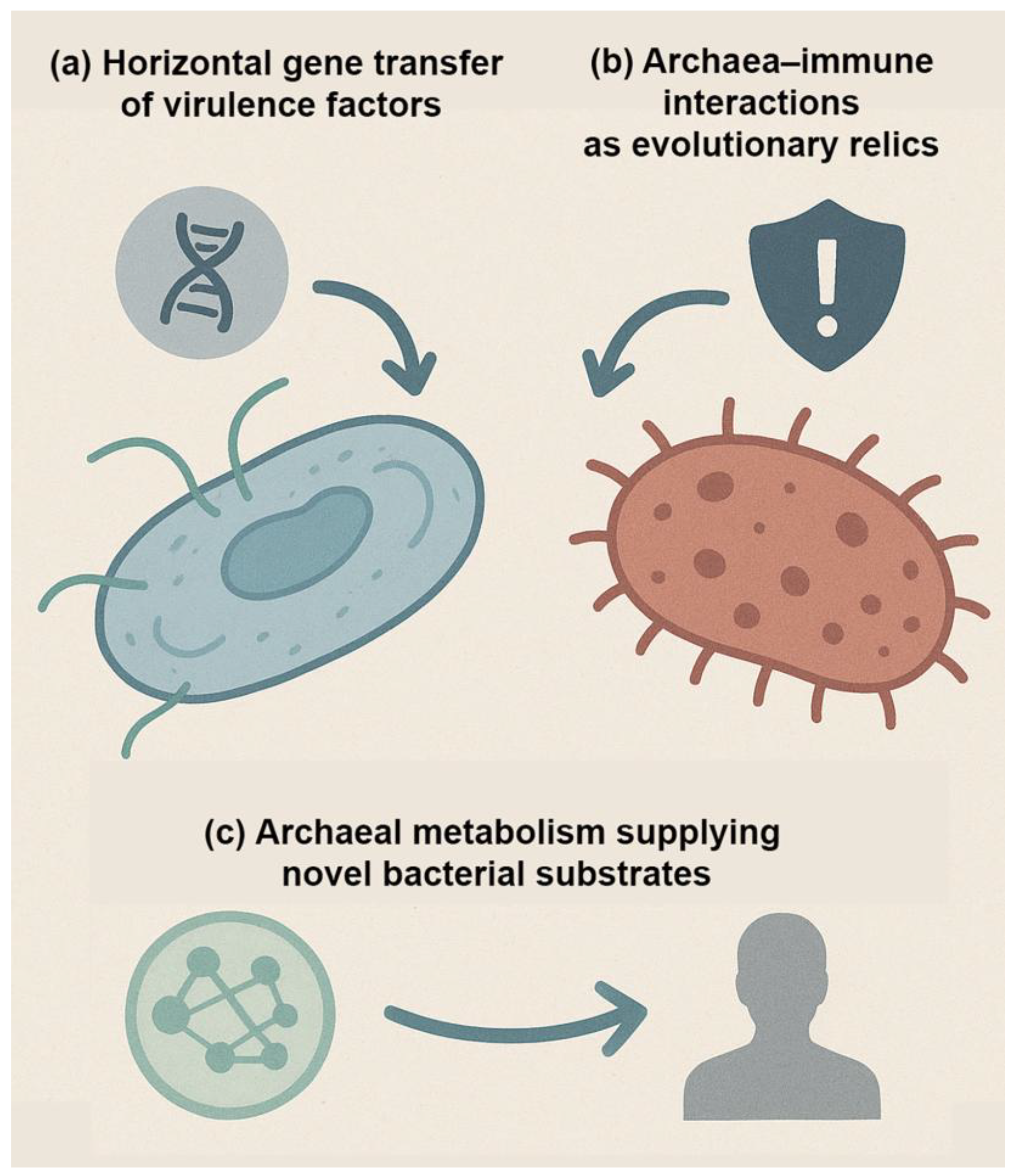 Preprints 176482 g003