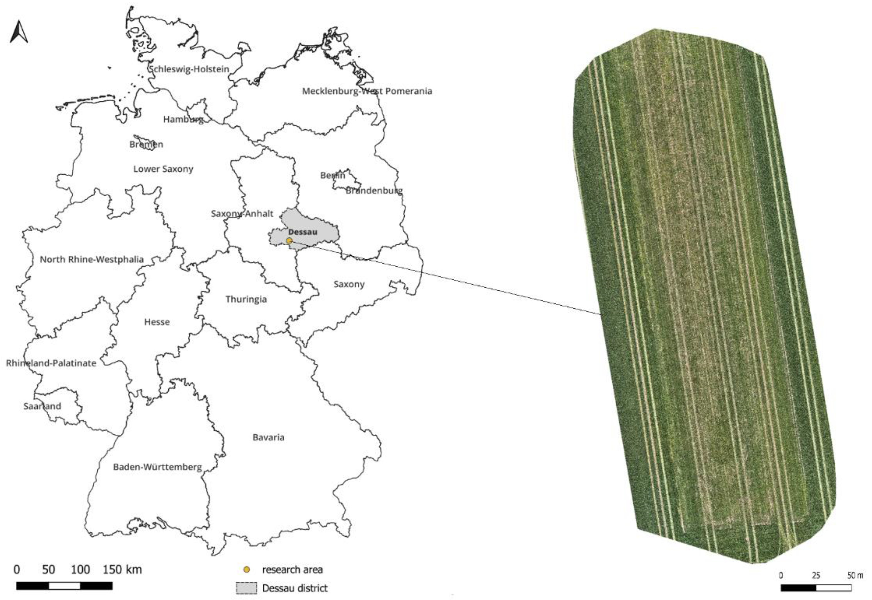 Preprints 163666 g001