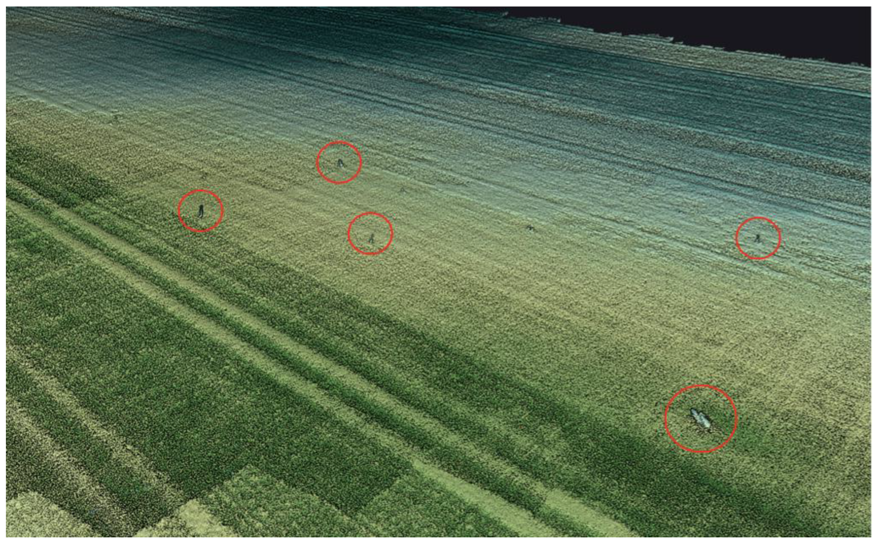 Preprints 163666 g008
