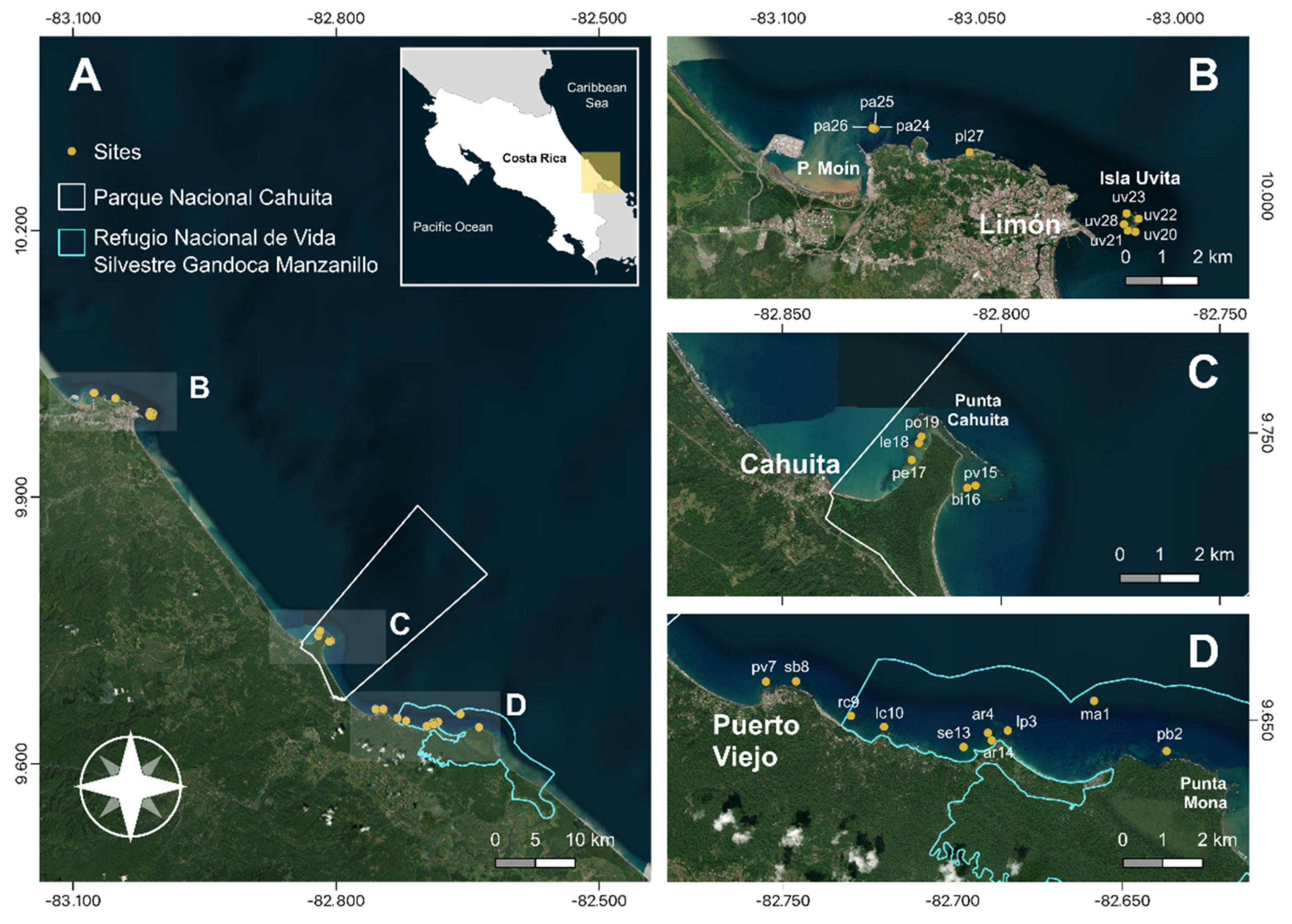 Preprints 79341 g001