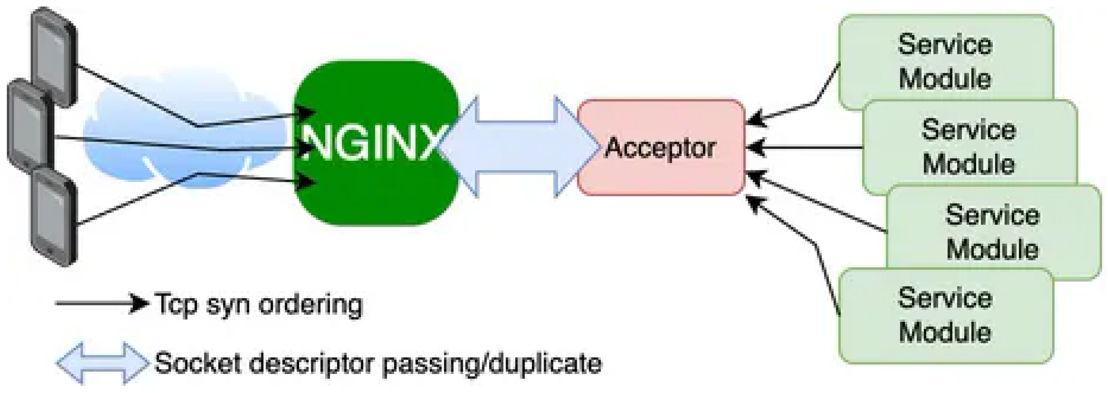 Preprints 182290 g003