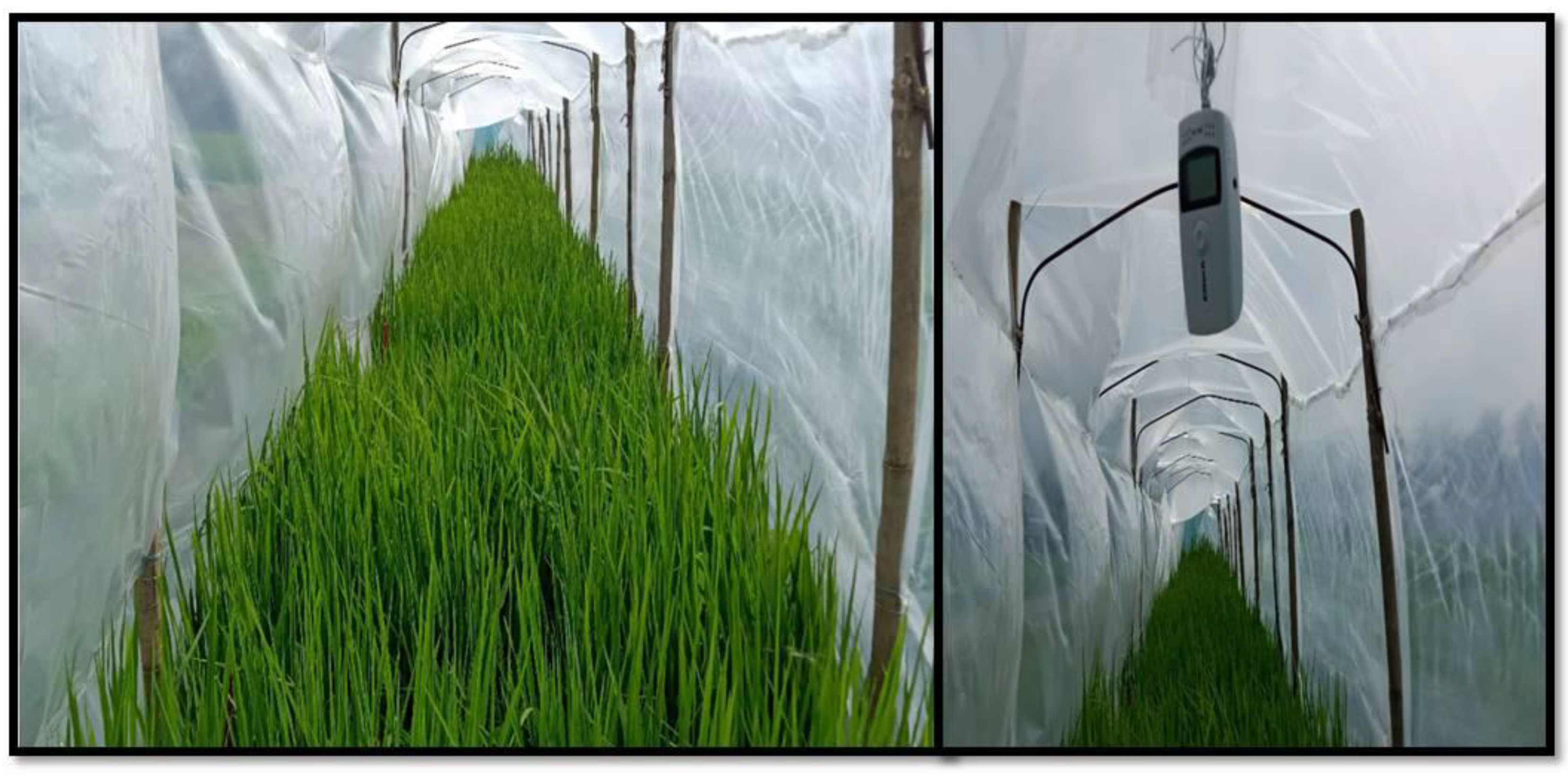 Preprints 174723 g001