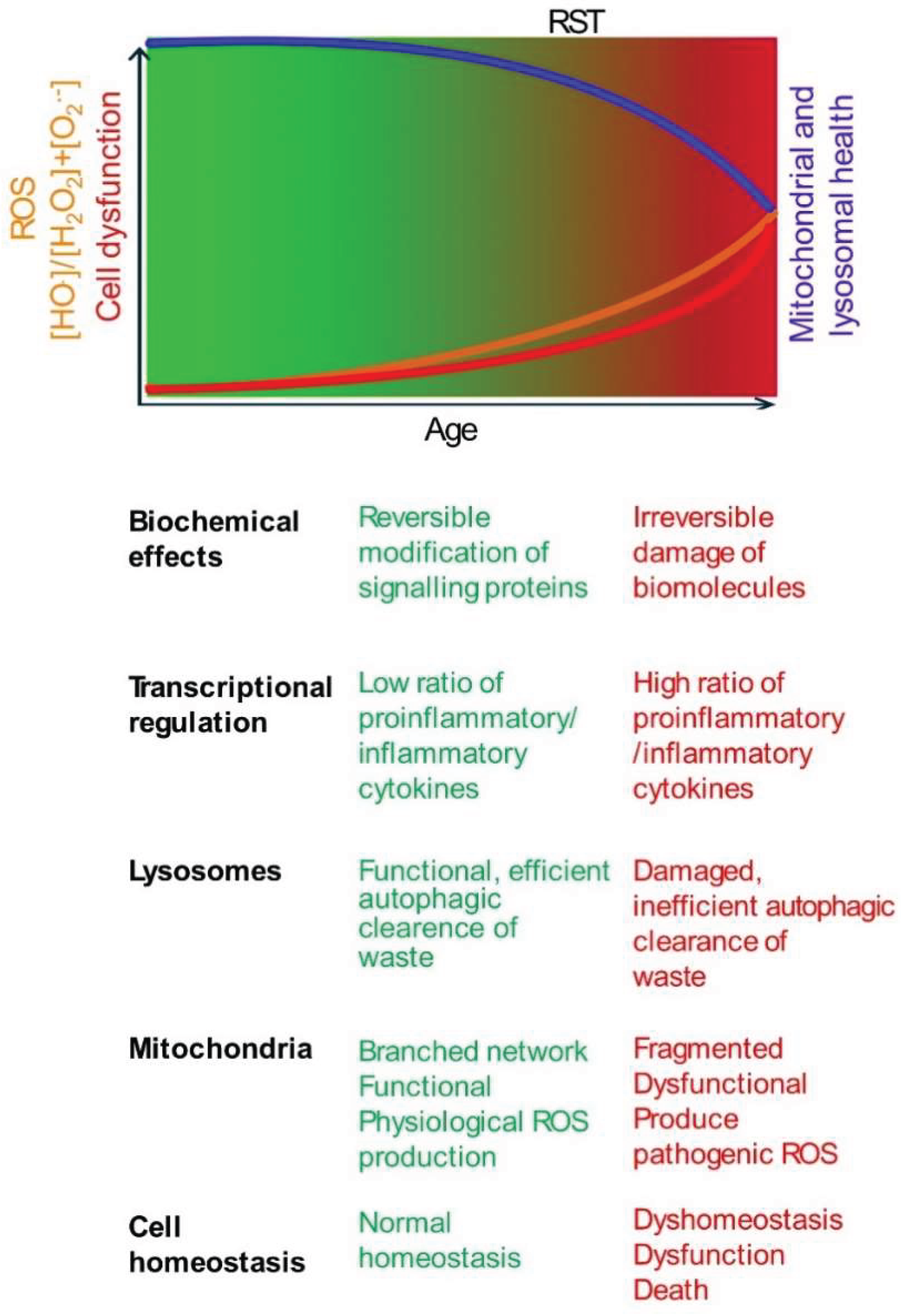 Preprints 160144 g001