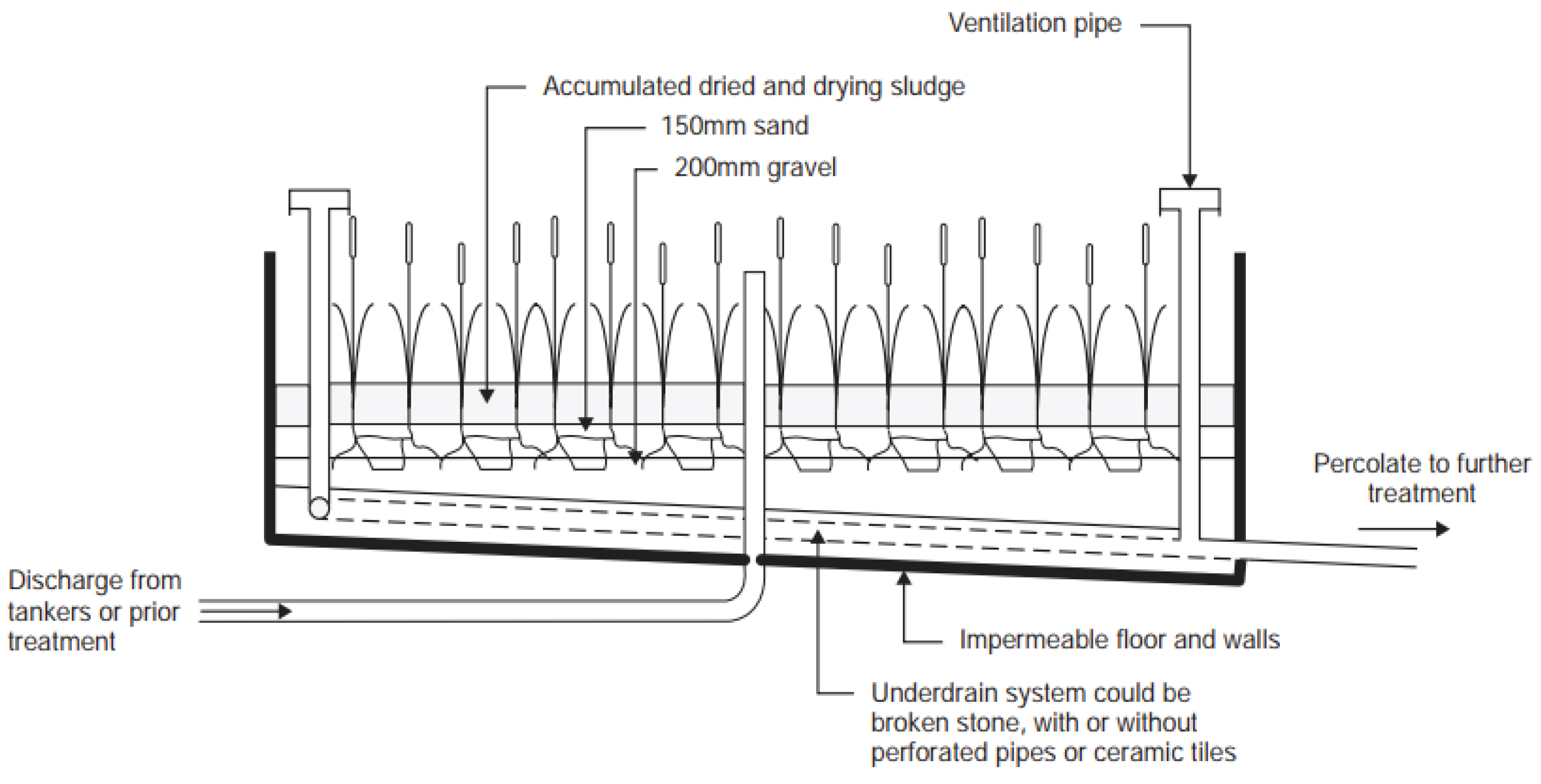 Preprints 190184 g002