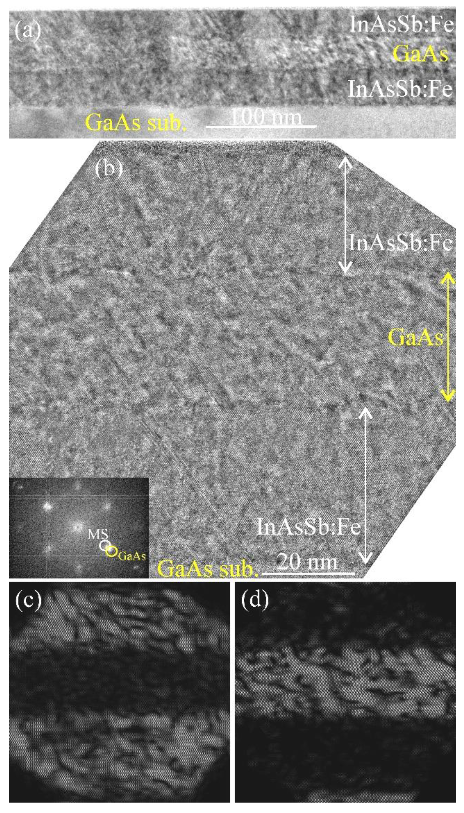 Preprints 80751 g001