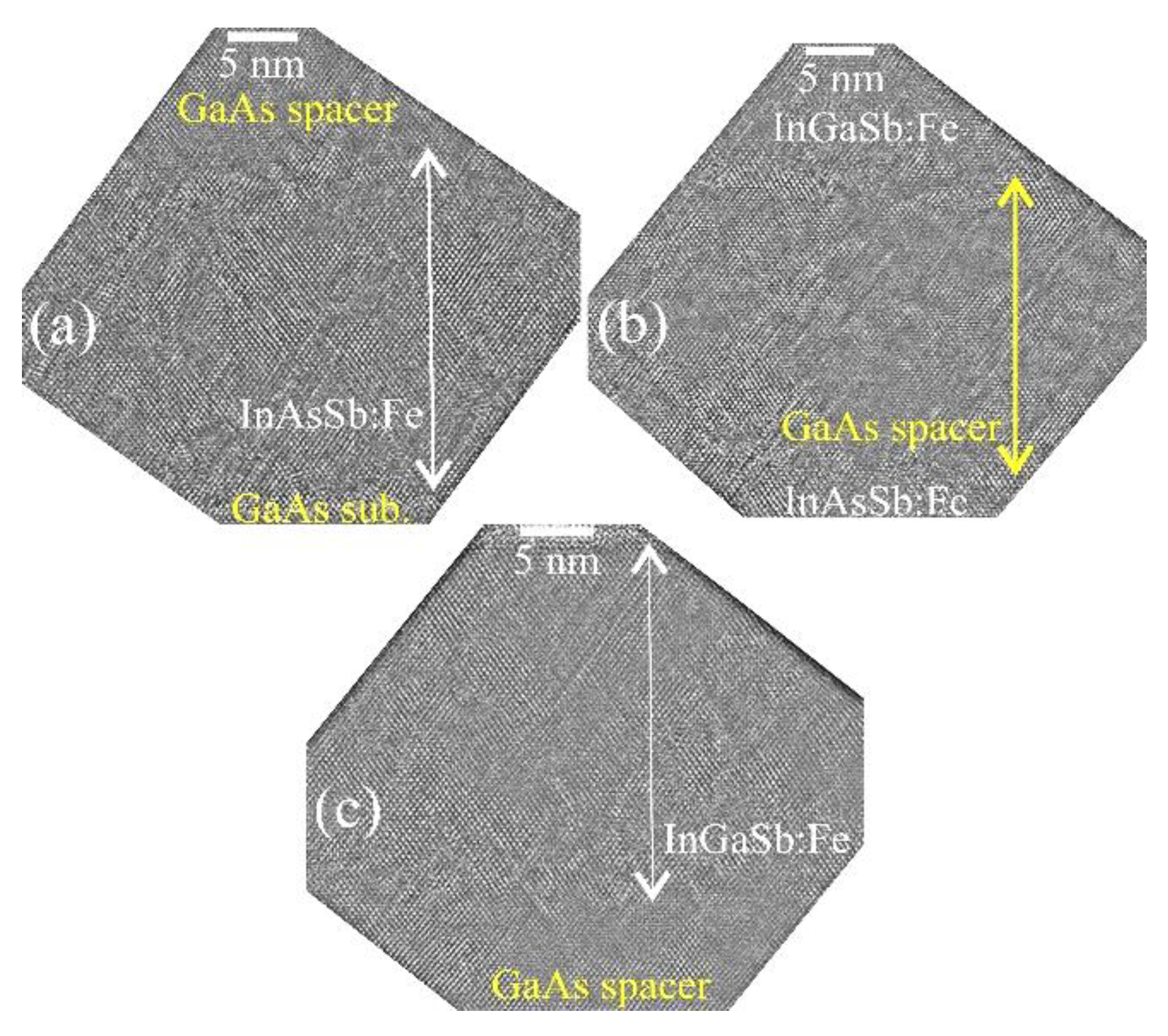 Preprints 80751 g005
