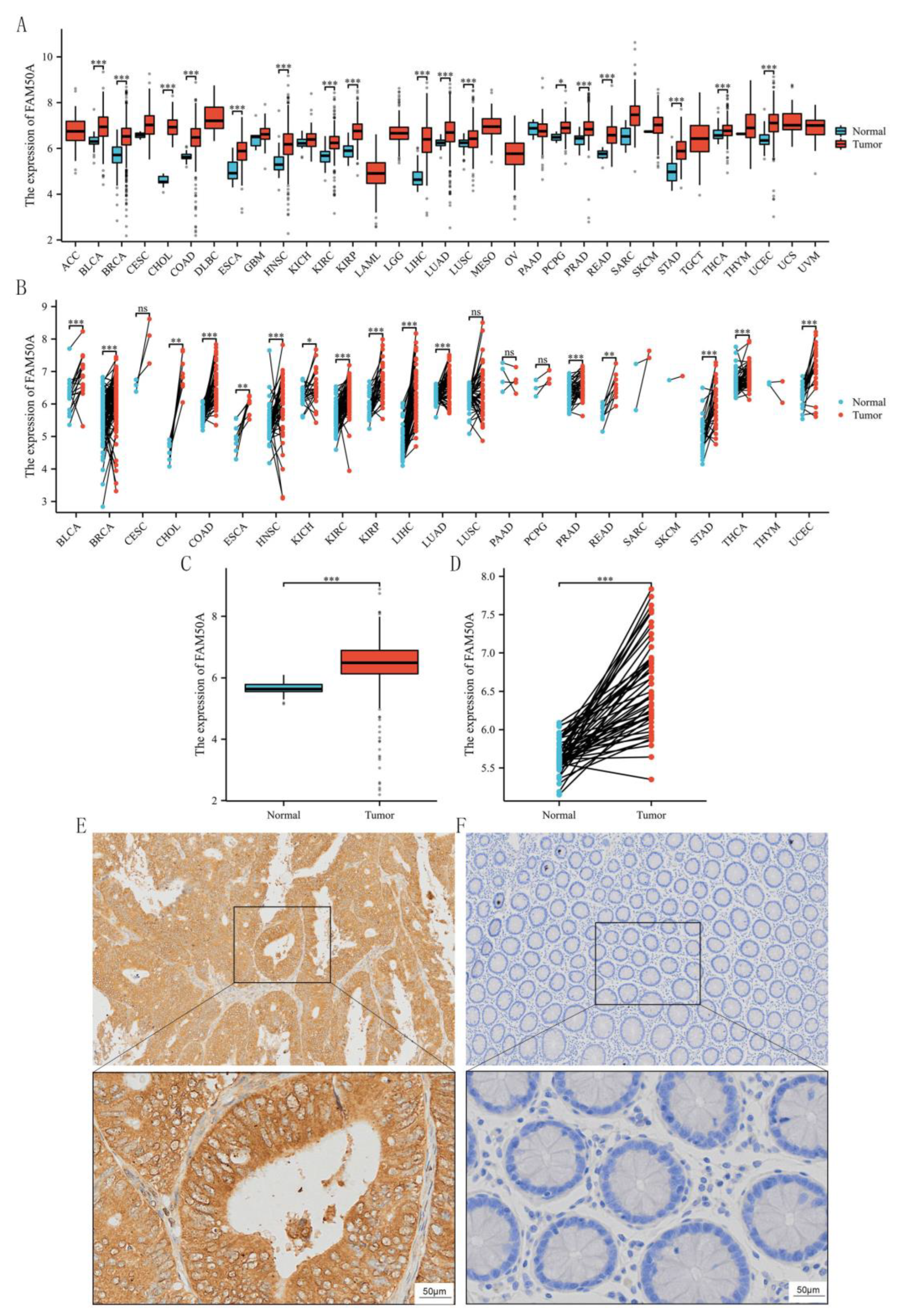 Preprints 120948 g001