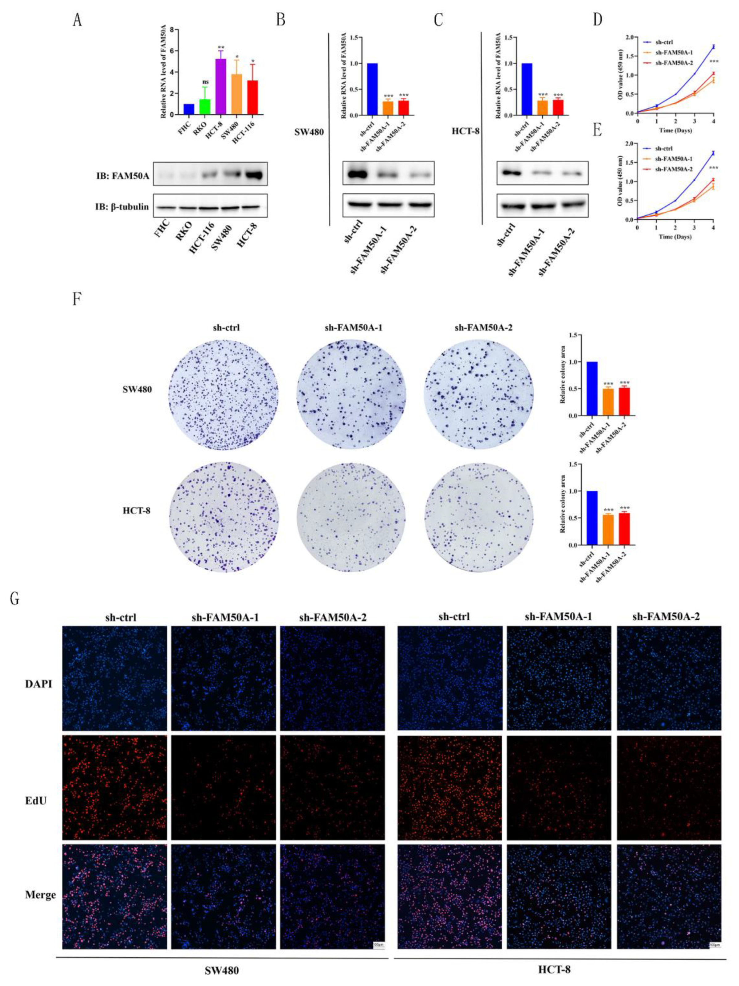 Preprints 120948 g006