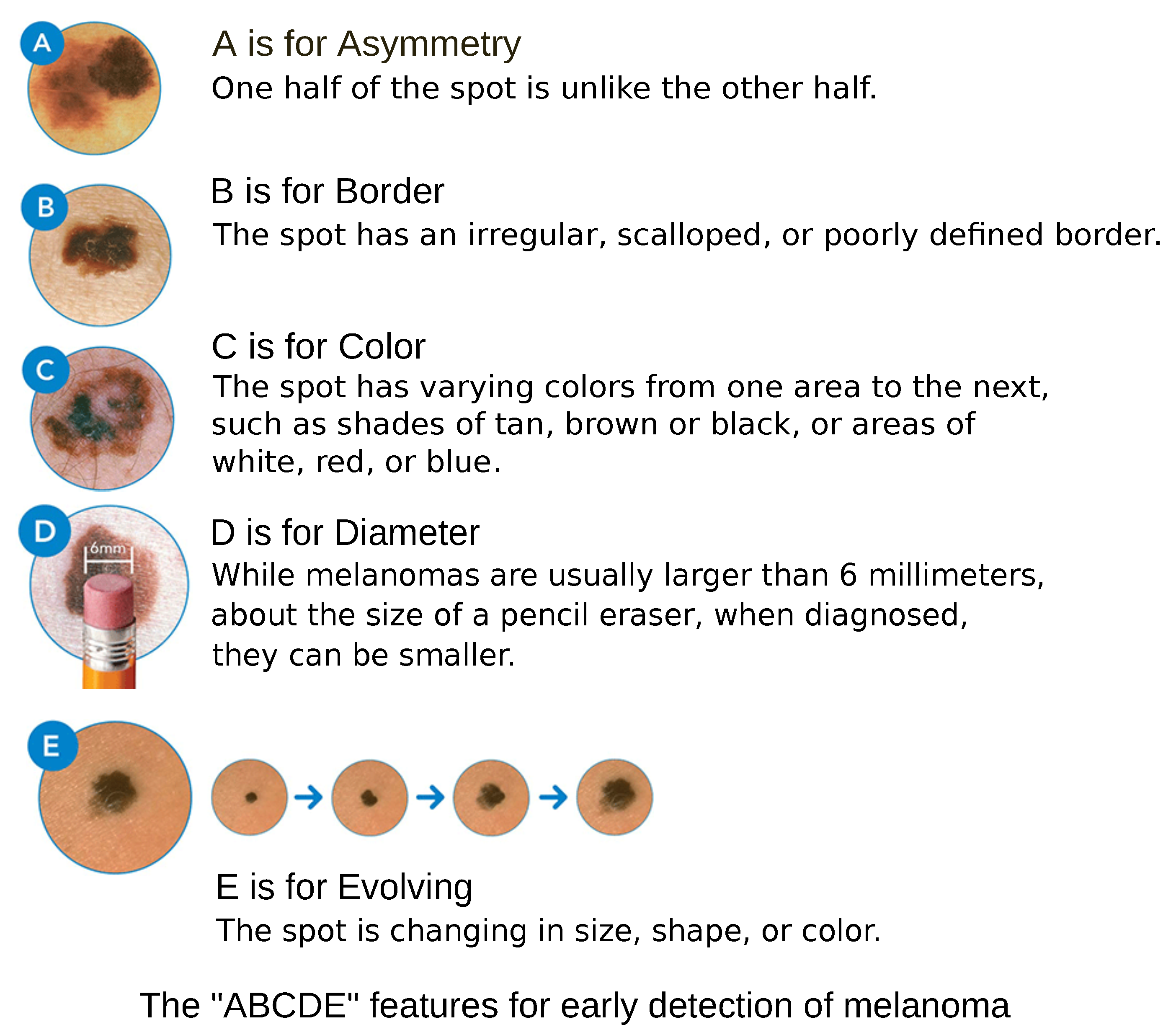 Preprints 168234 g002