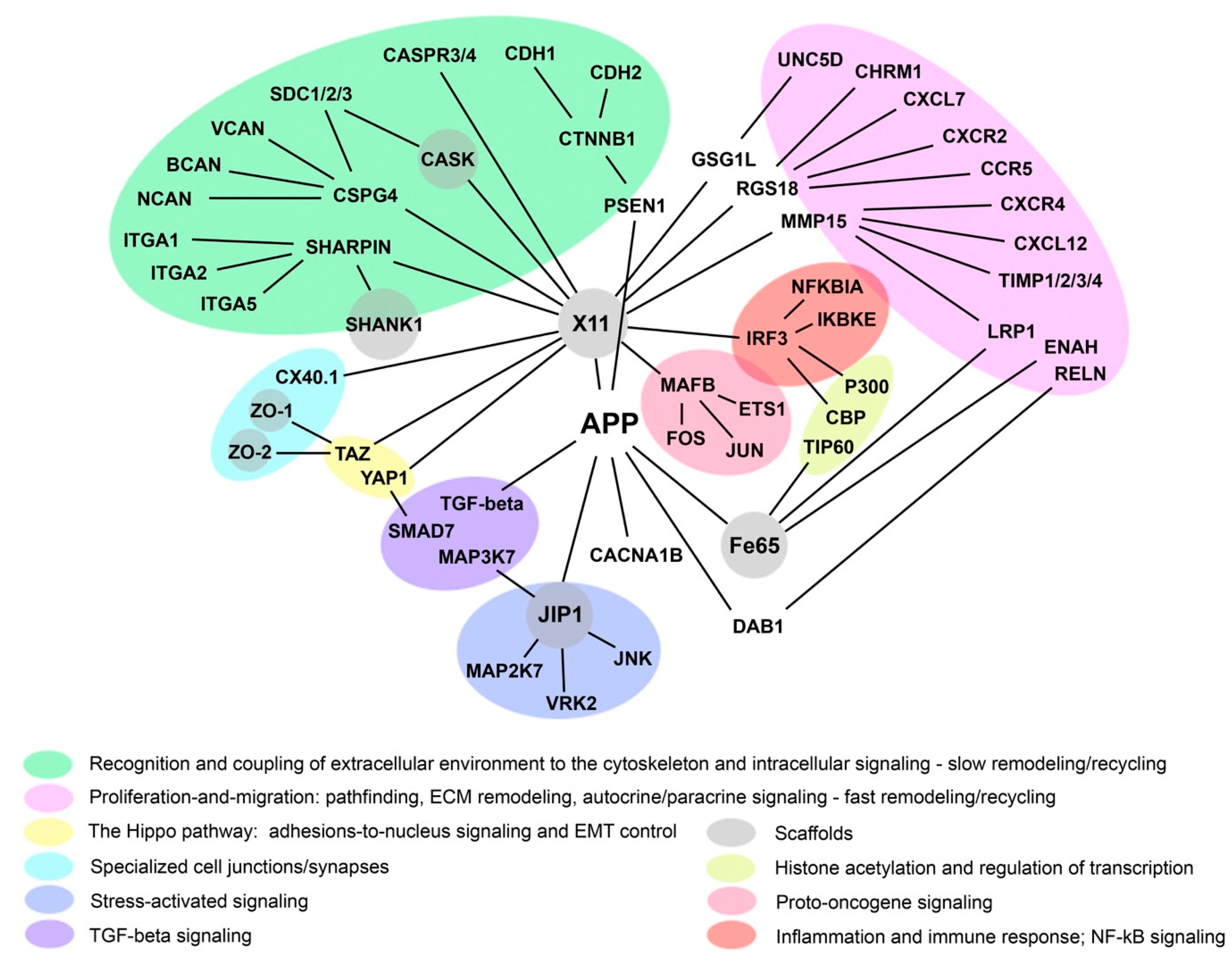 Preprints 174076 g002