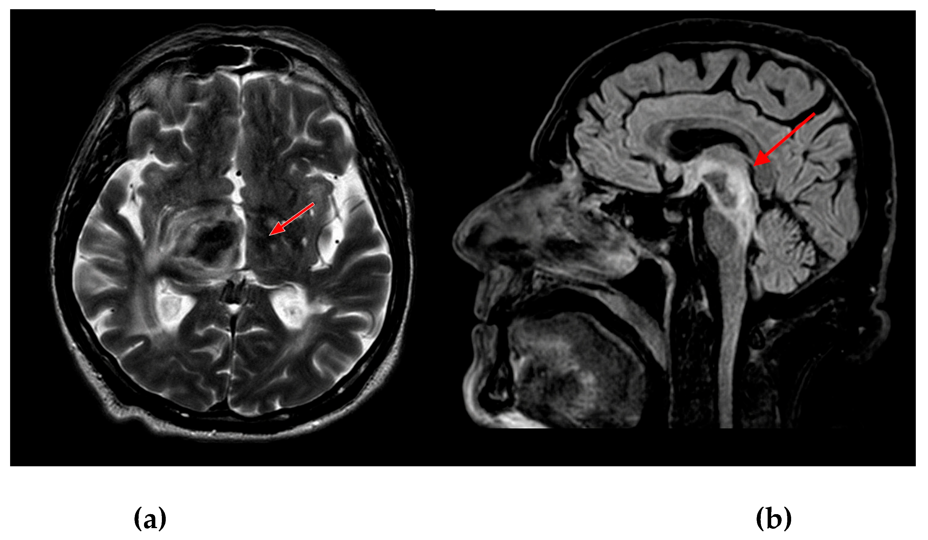 Preprints 224864 g001
