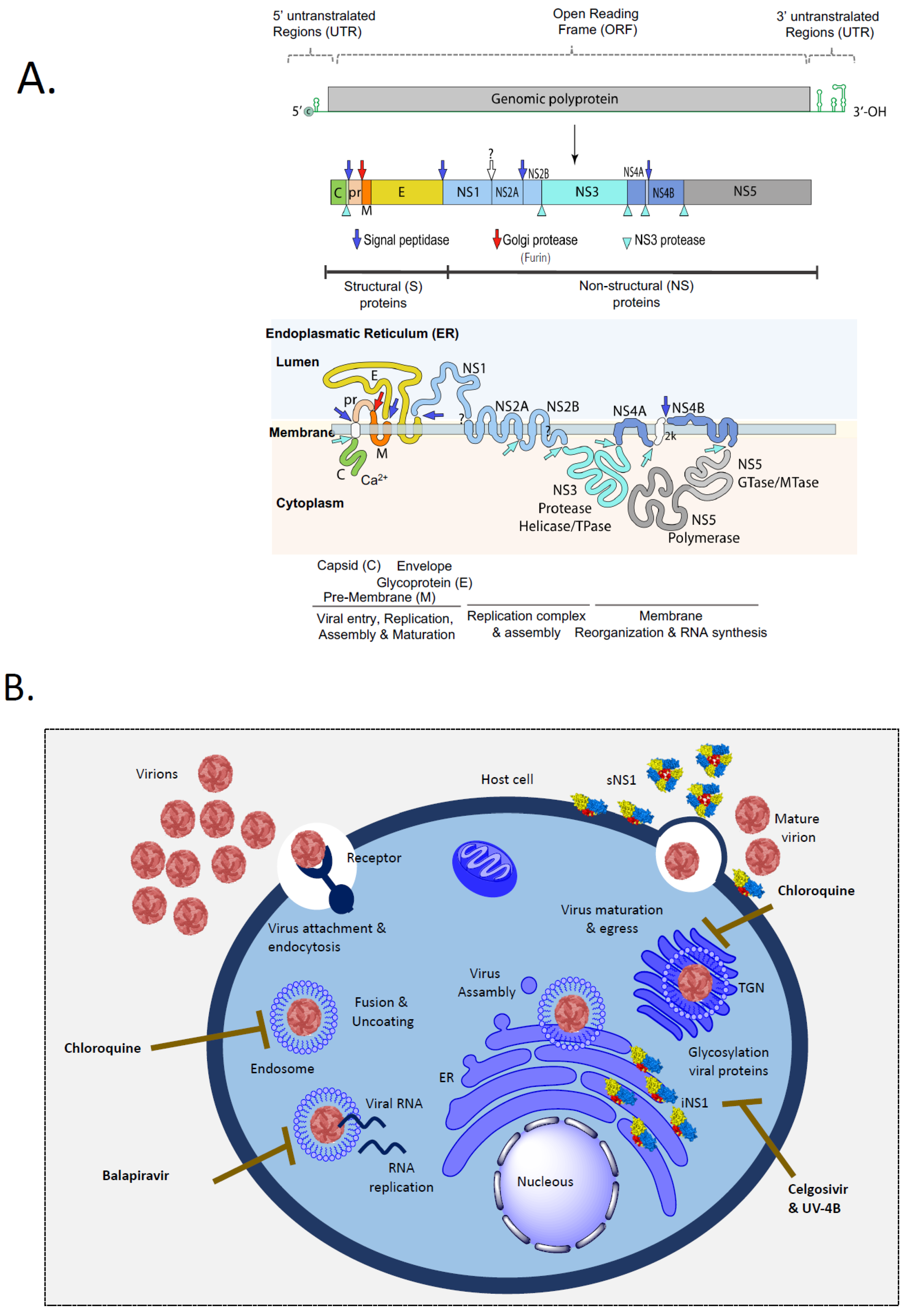 Preprints 183323 g001