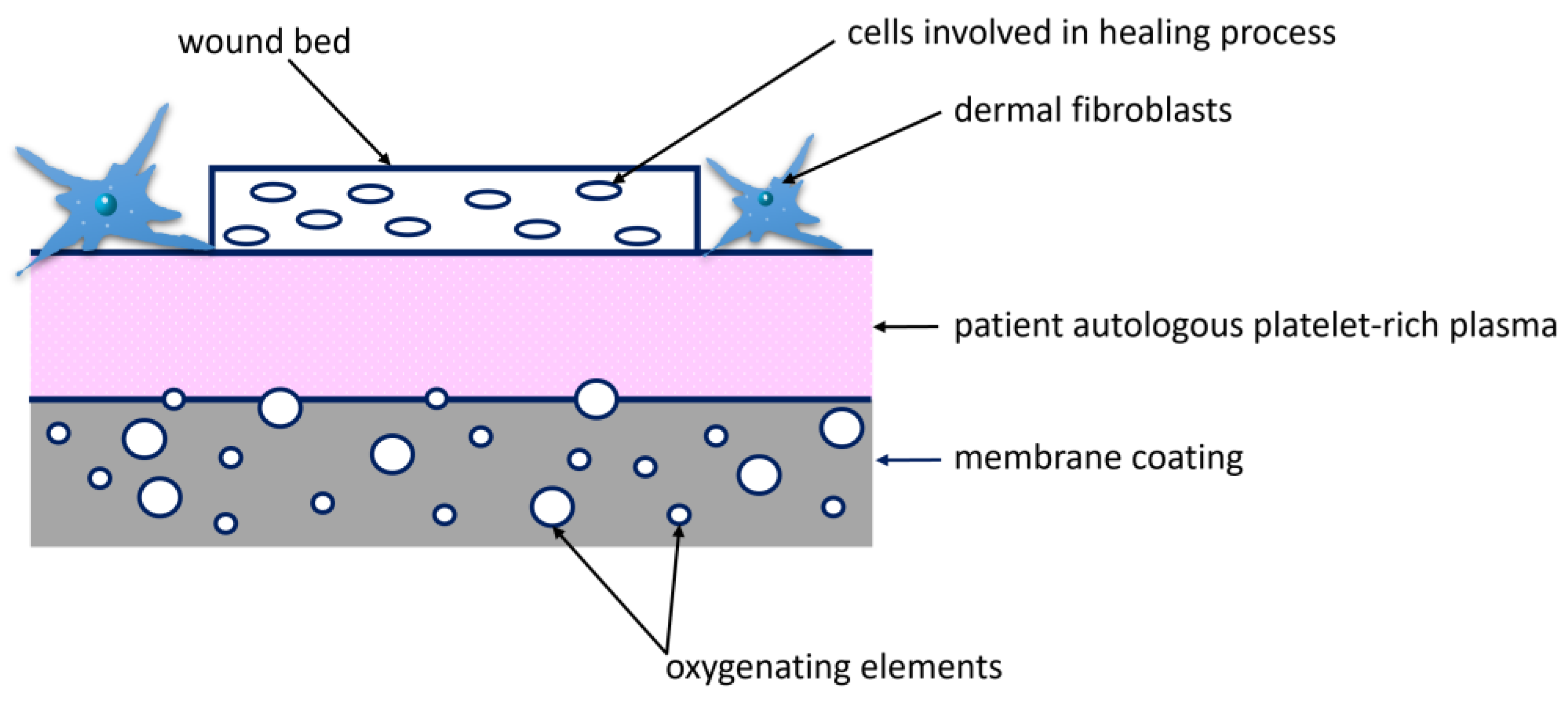 Preprints 138543 g001