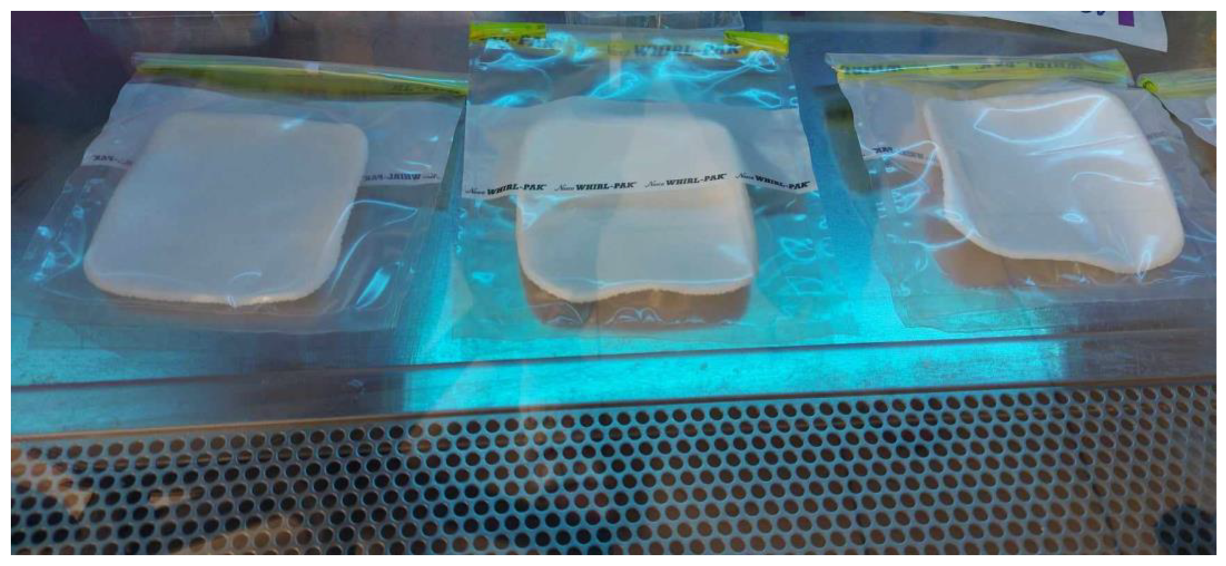 Preprints 138543 g002