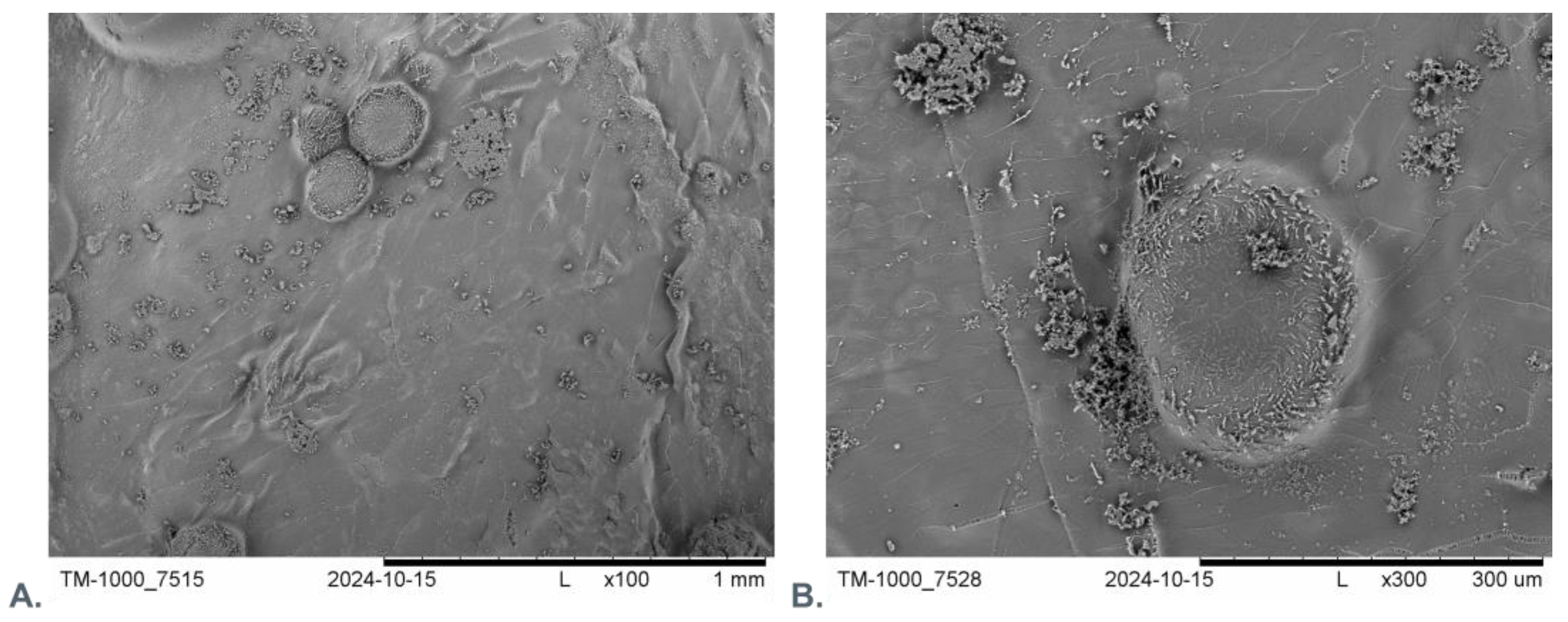 Preprints 138543 g006