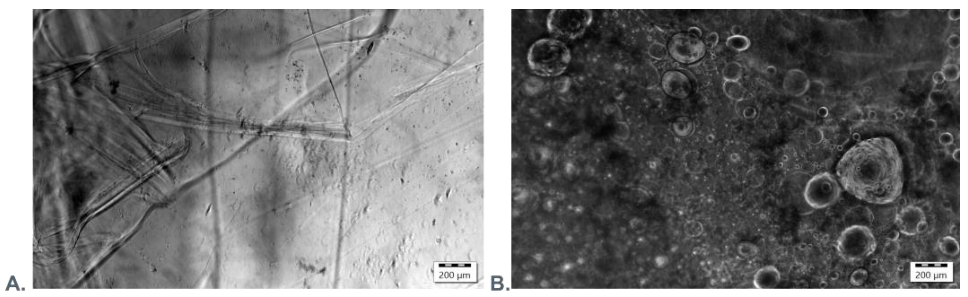 Preprints 138543 g007