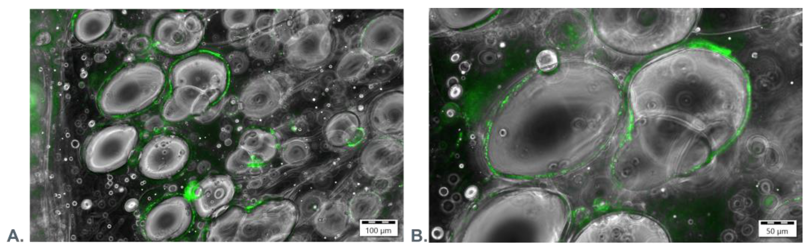 Preprints 138543 g008