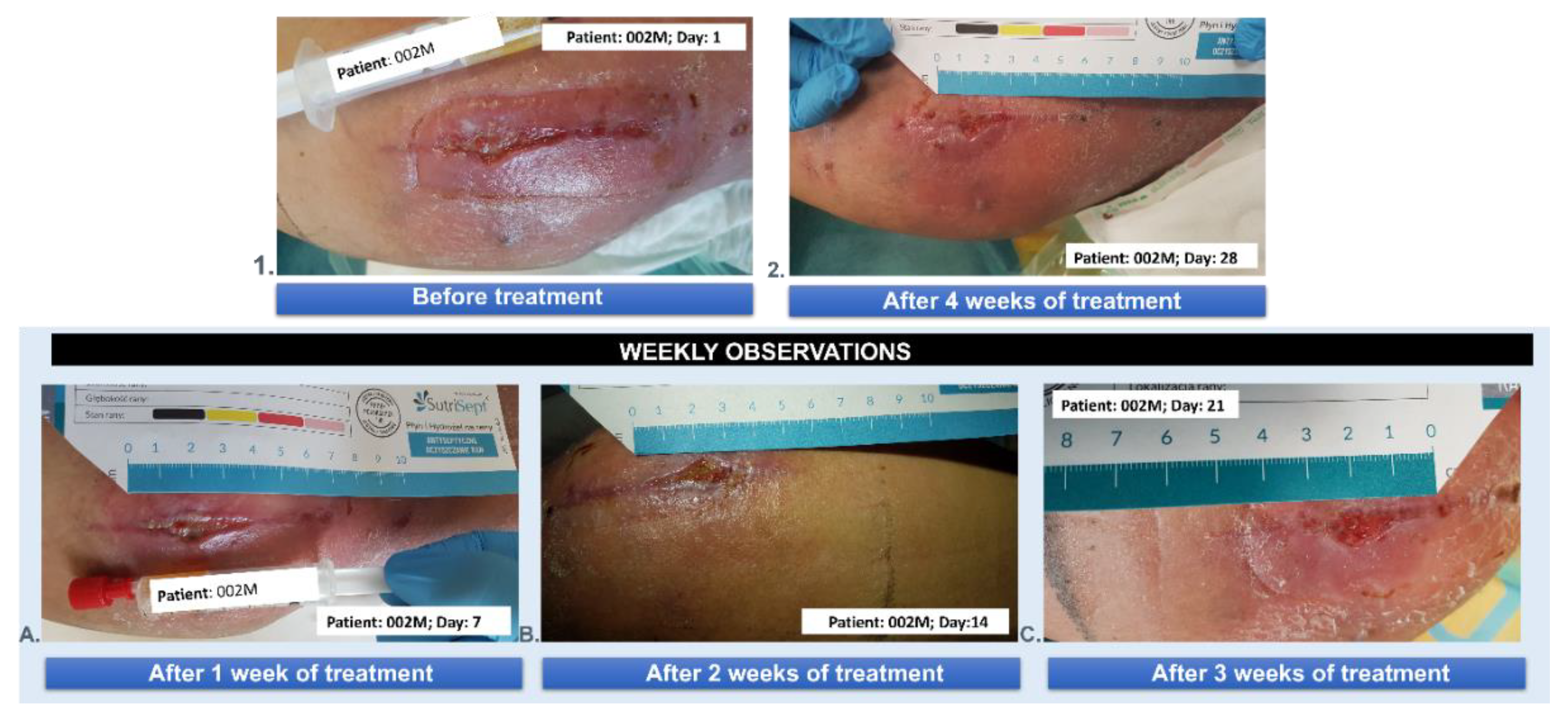 Preprints 138543 g012