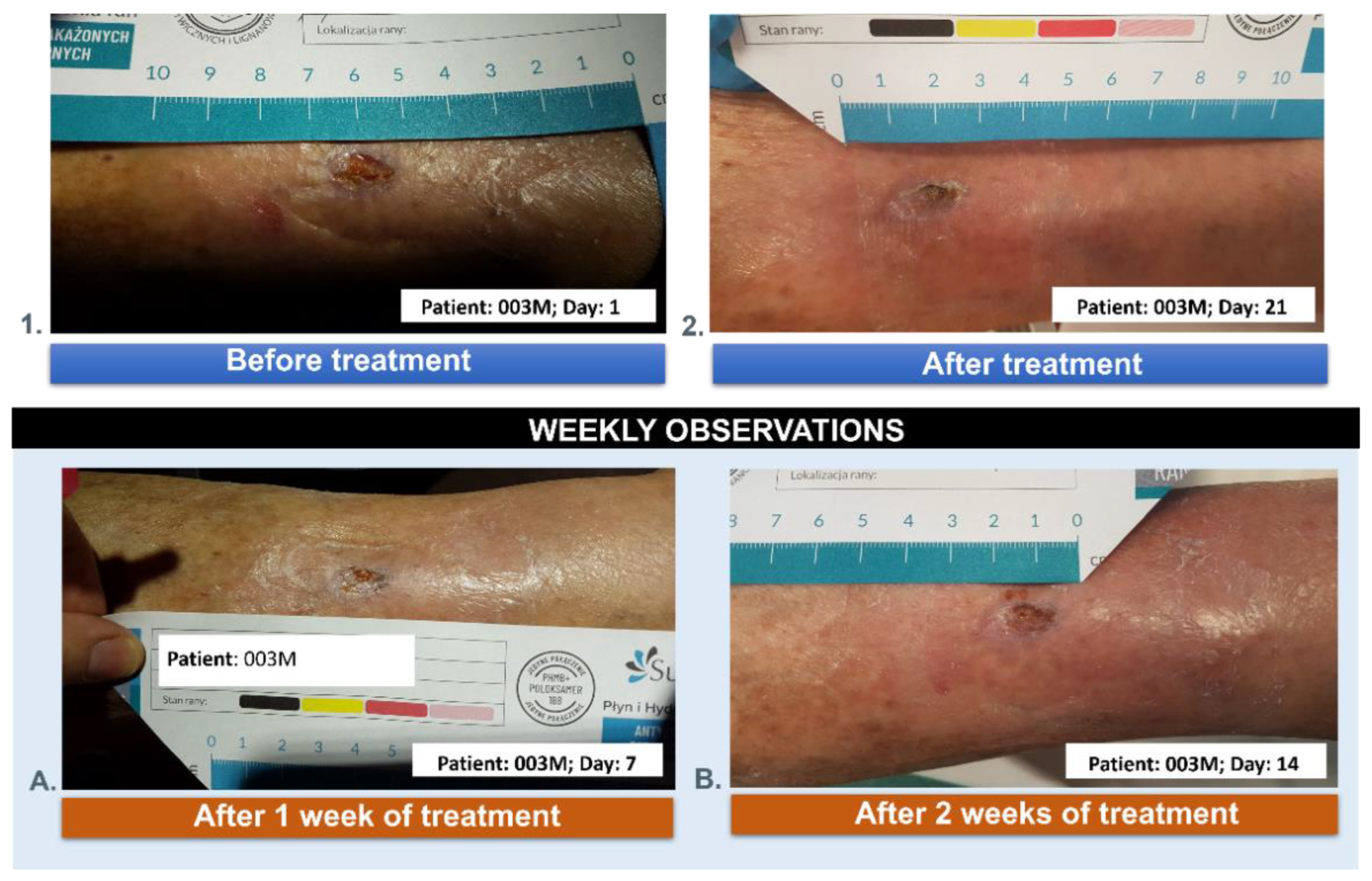 Preprints 138543 g013