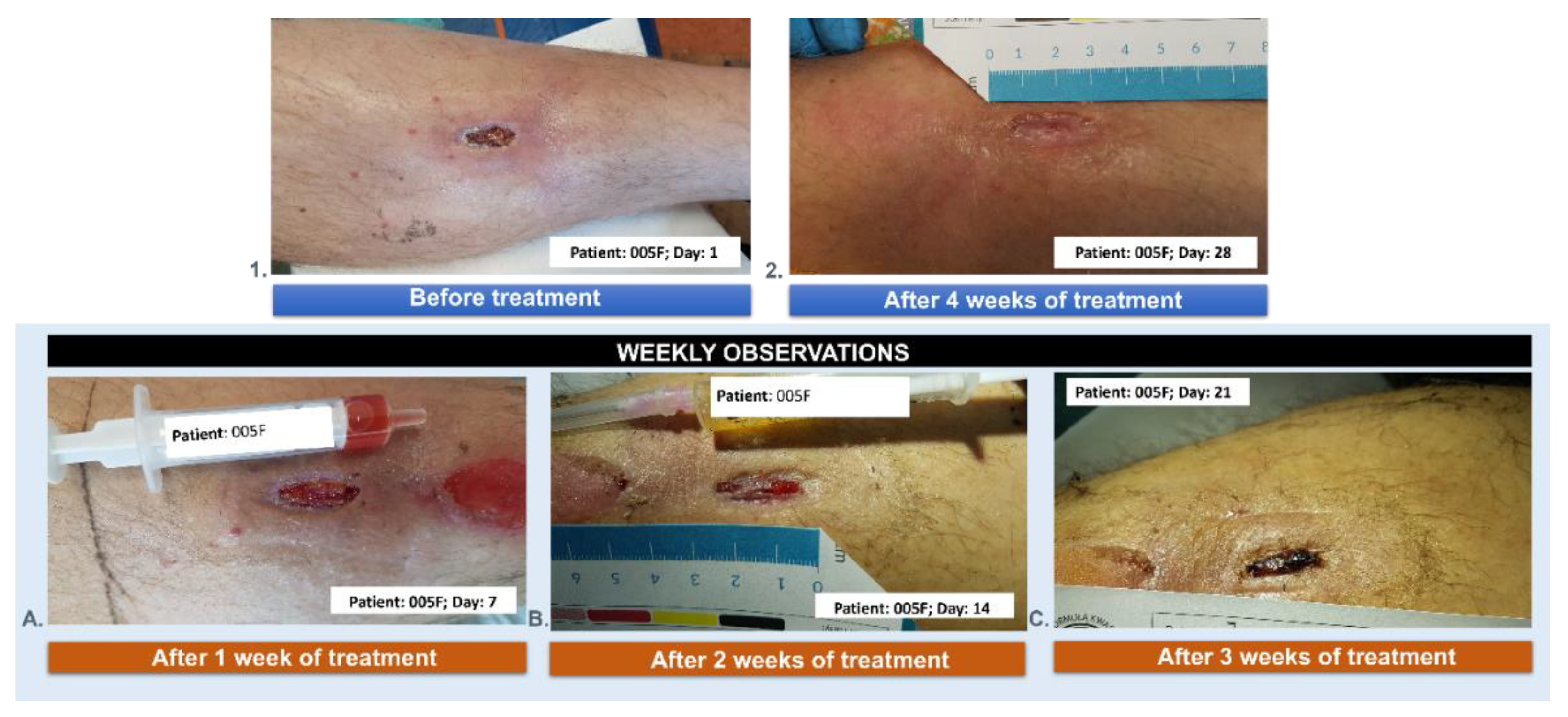 Preprints 138543 g015