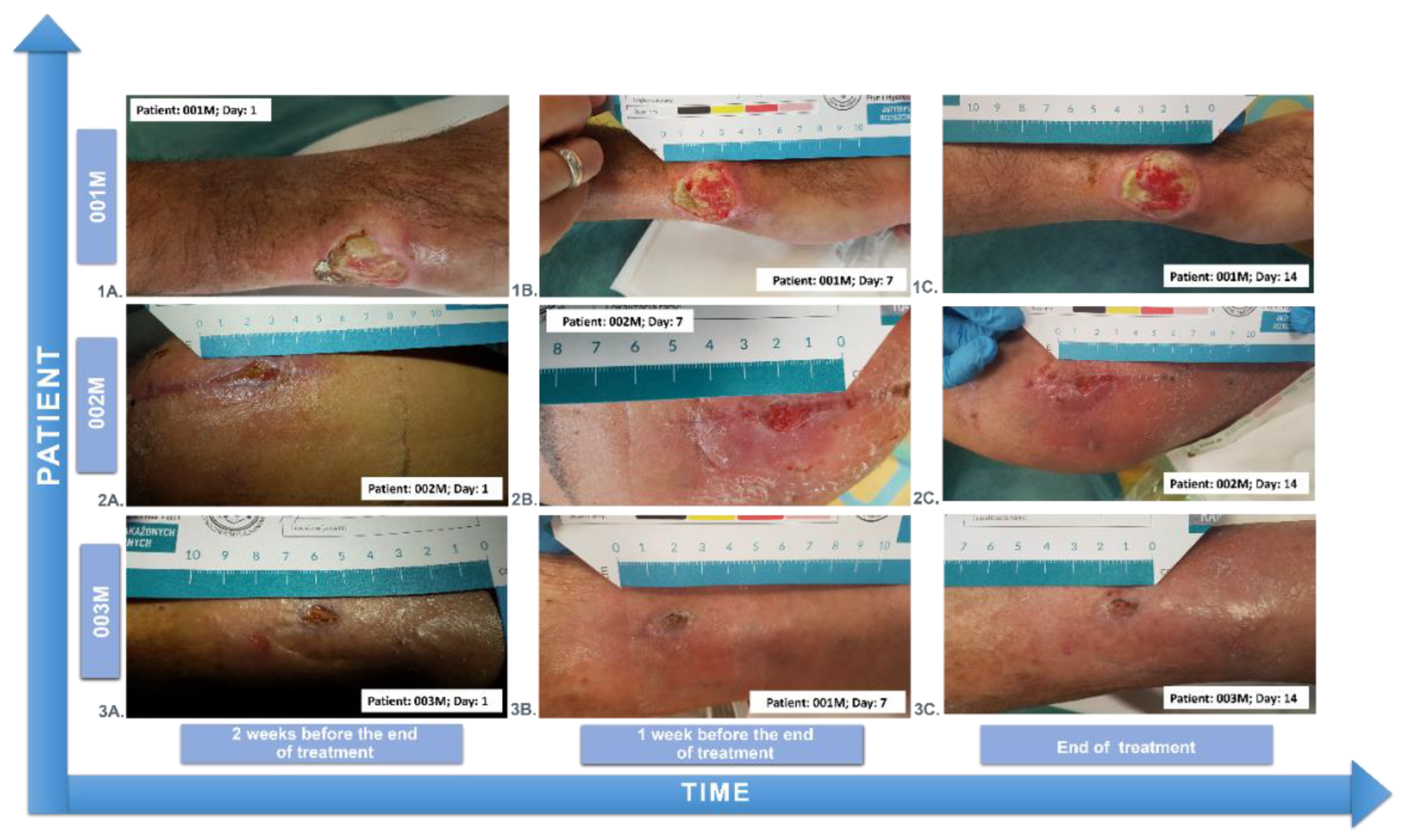 Preprints 138543 g016