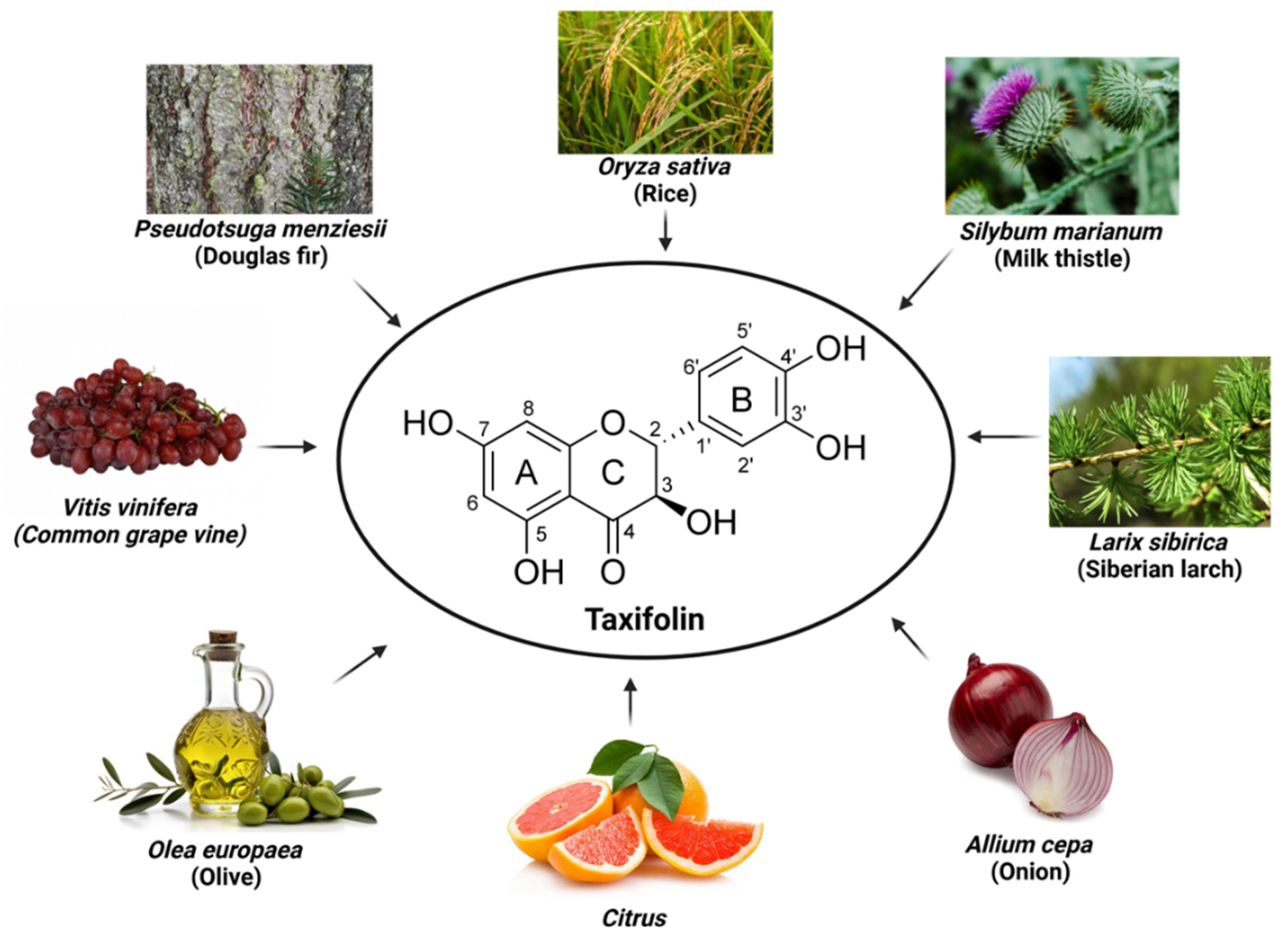 Preprints 169520 g001