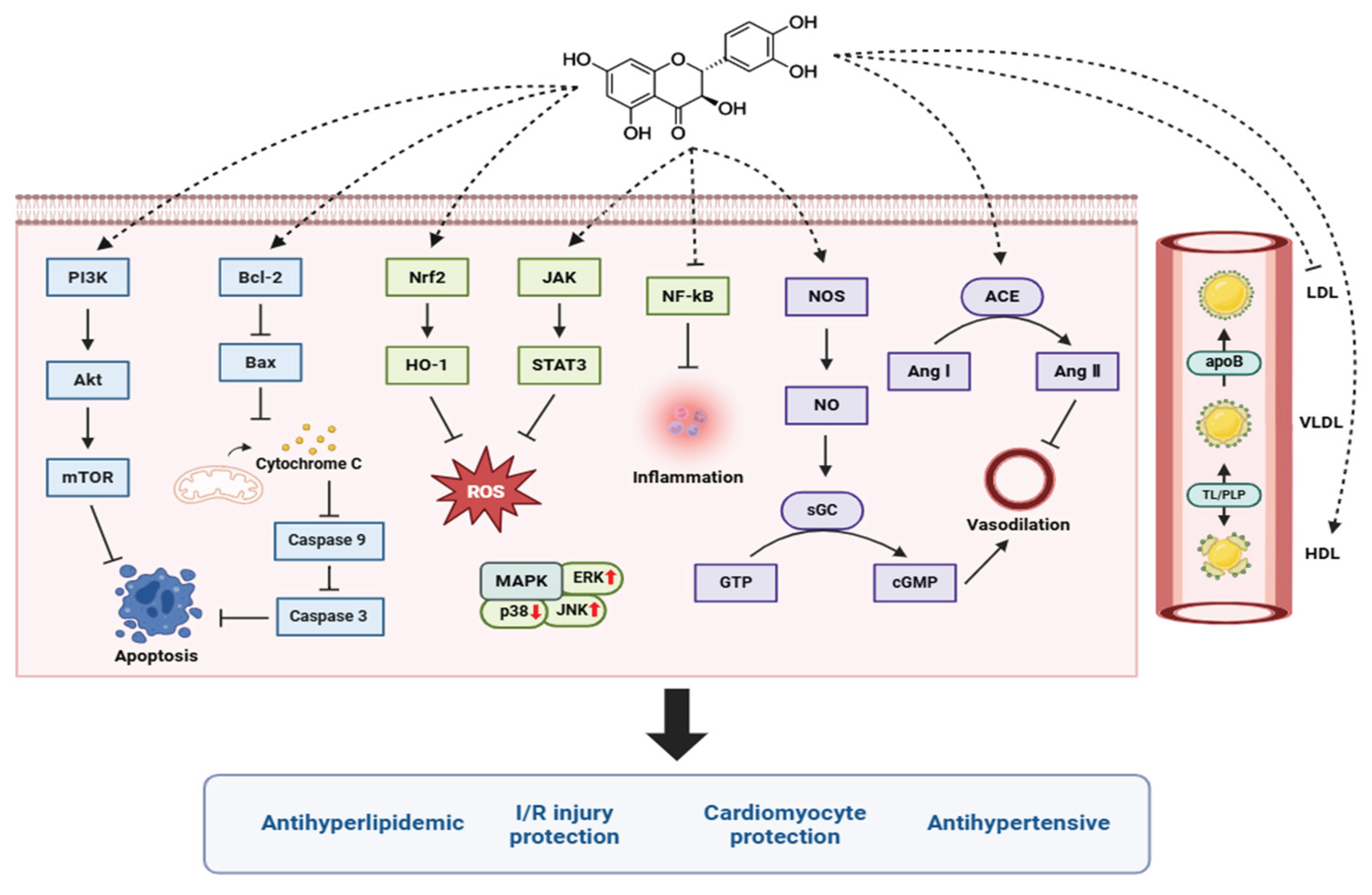 Preprints 169520 g003