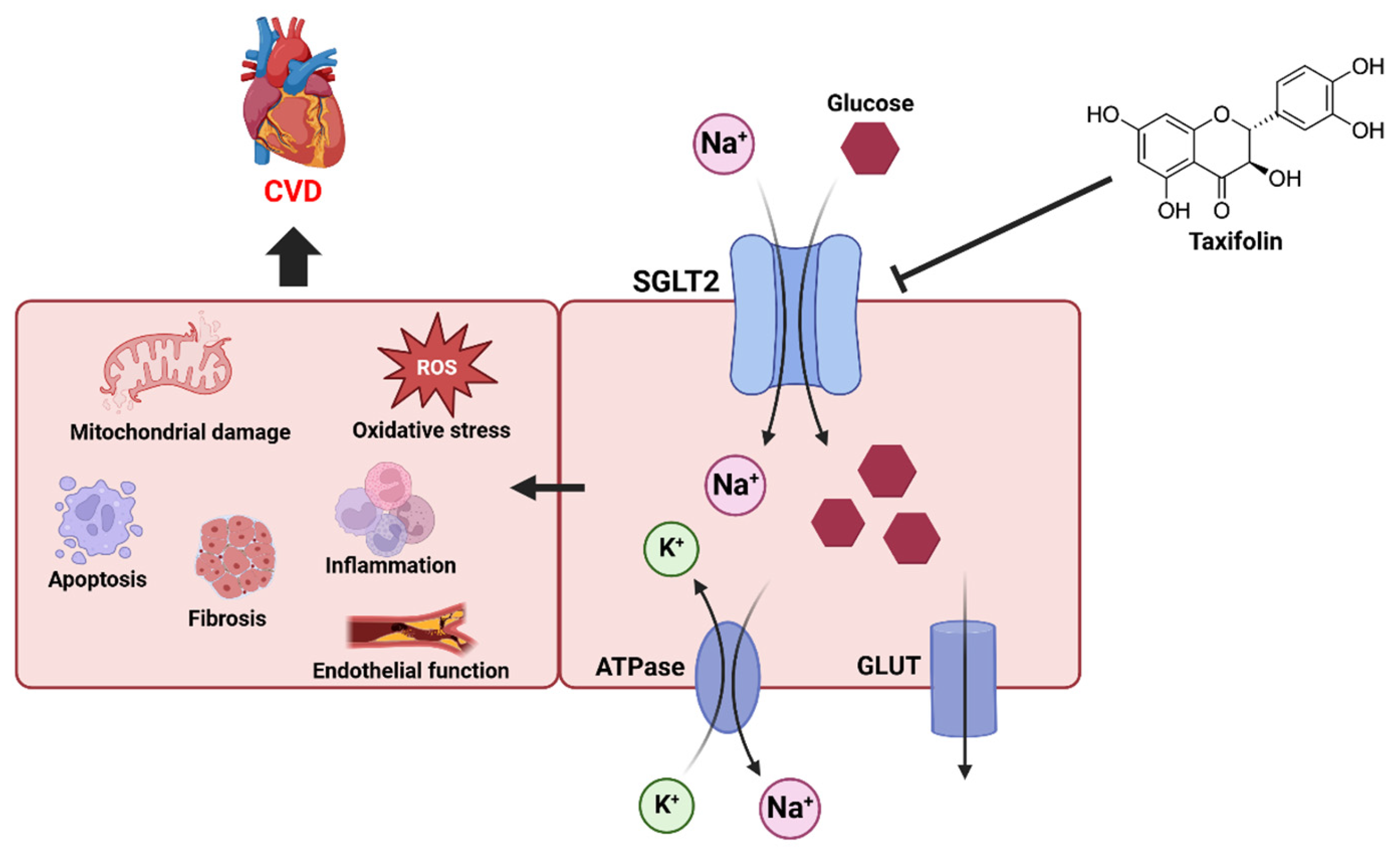 Preprints 169520 g004