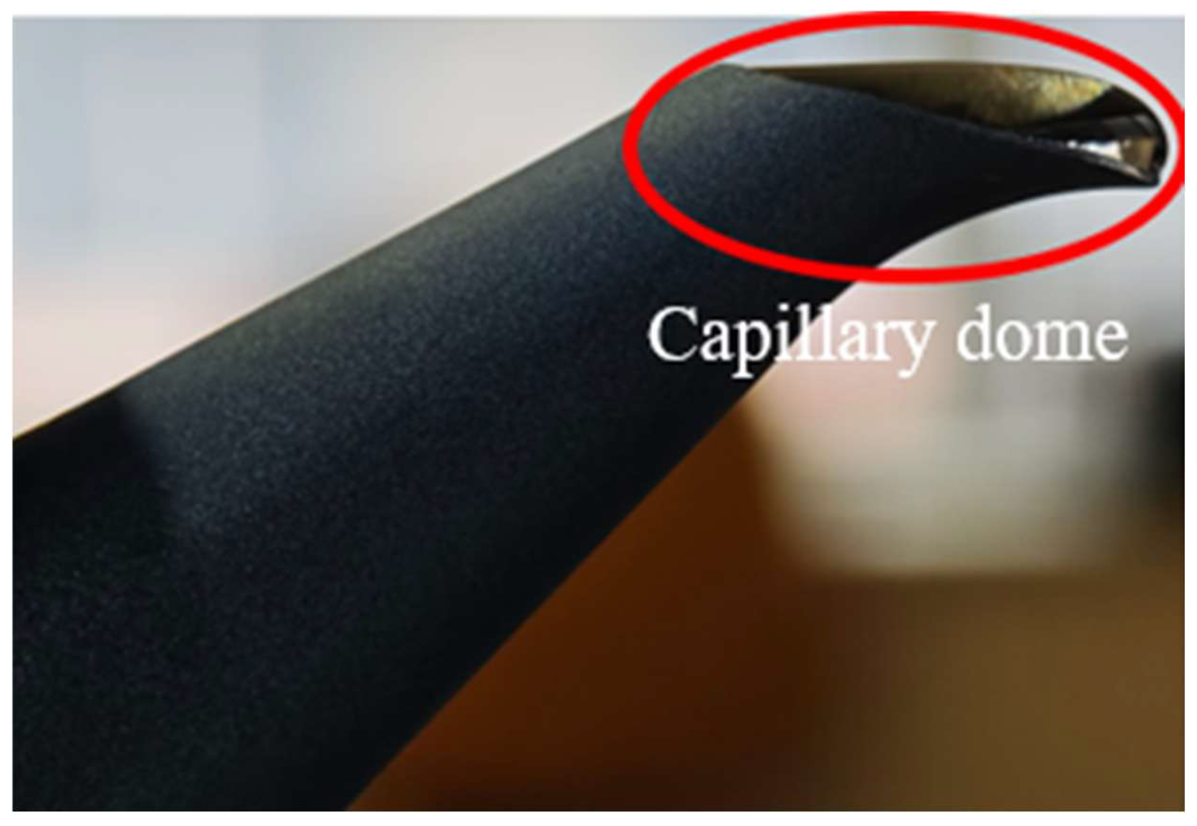 Preprints 200478 g004