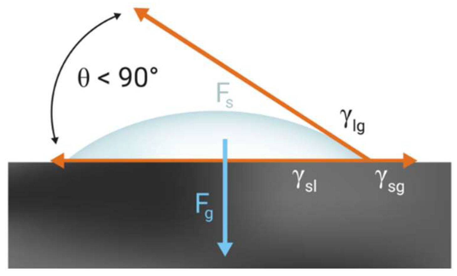 Preprints 200478 g006