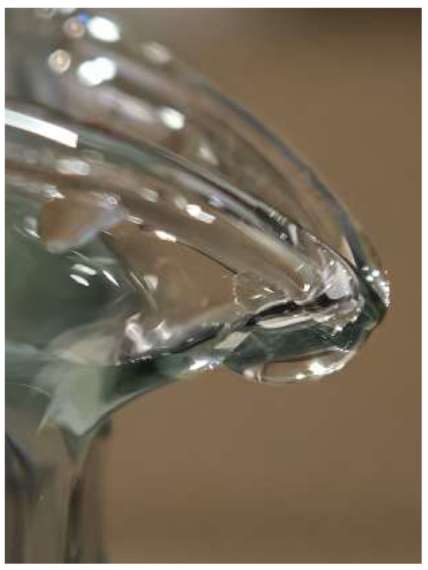 Preprints 200478 g007