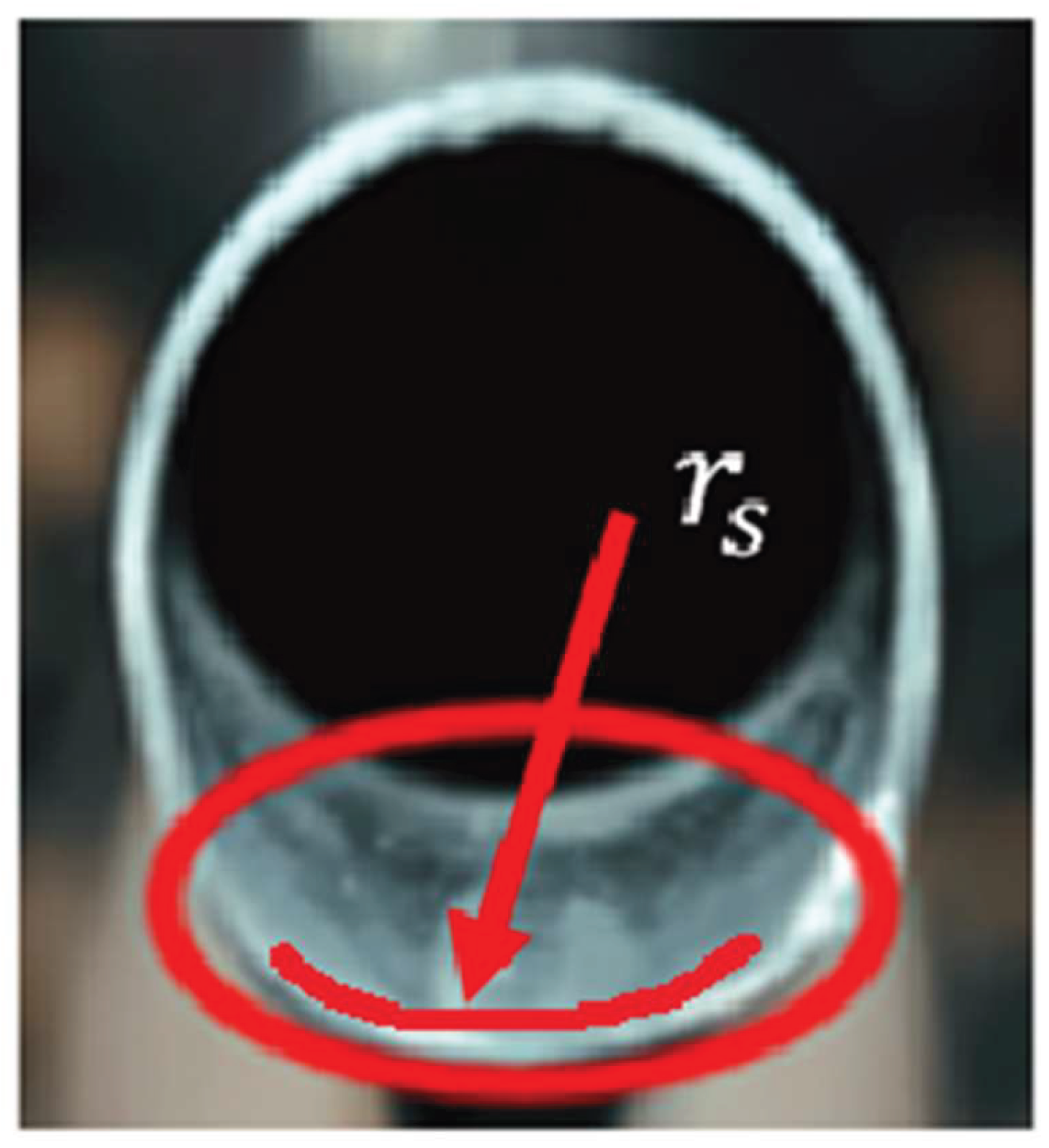 Preprints 200478 g014