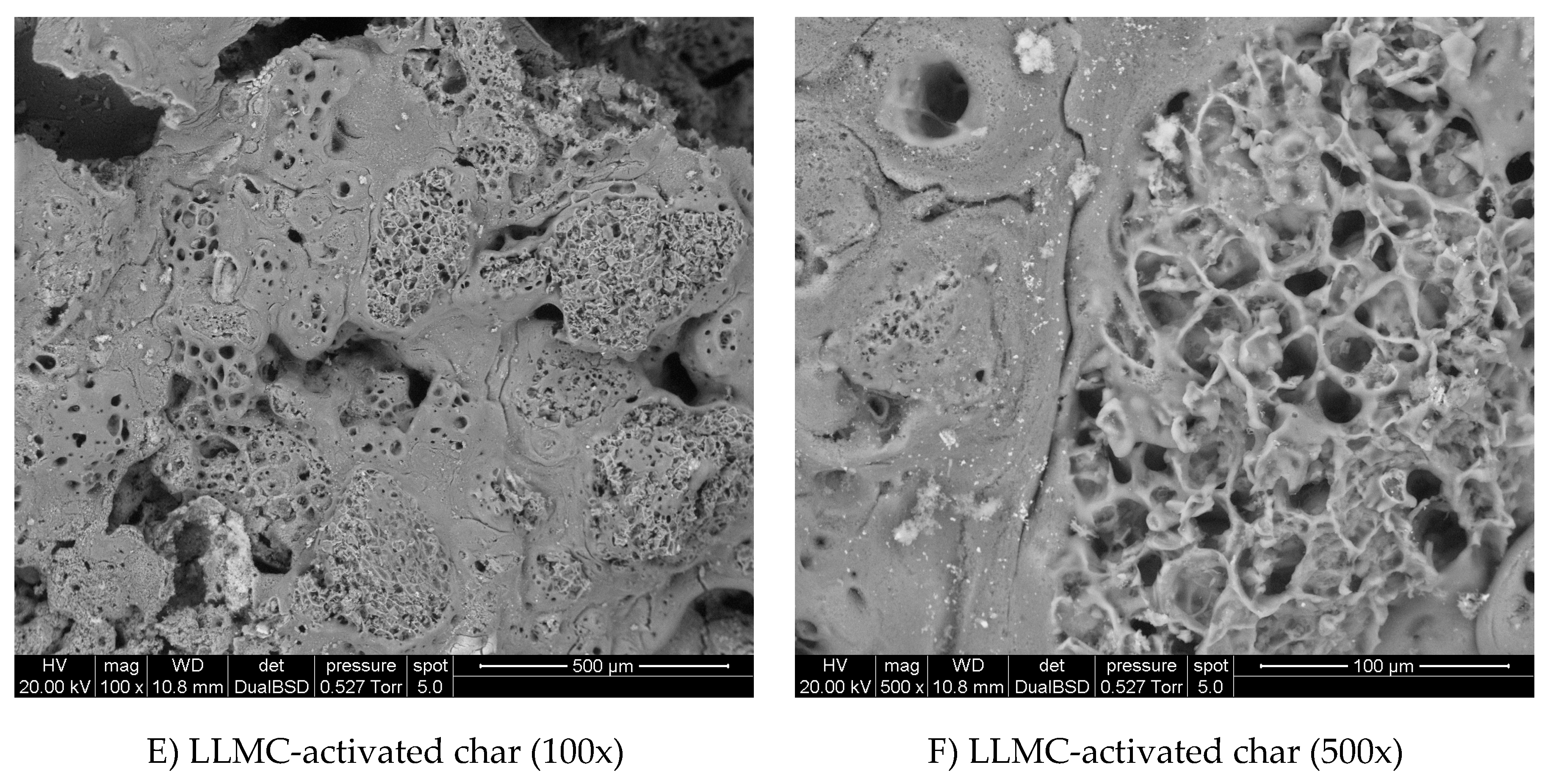 Preprints 145829 g003a