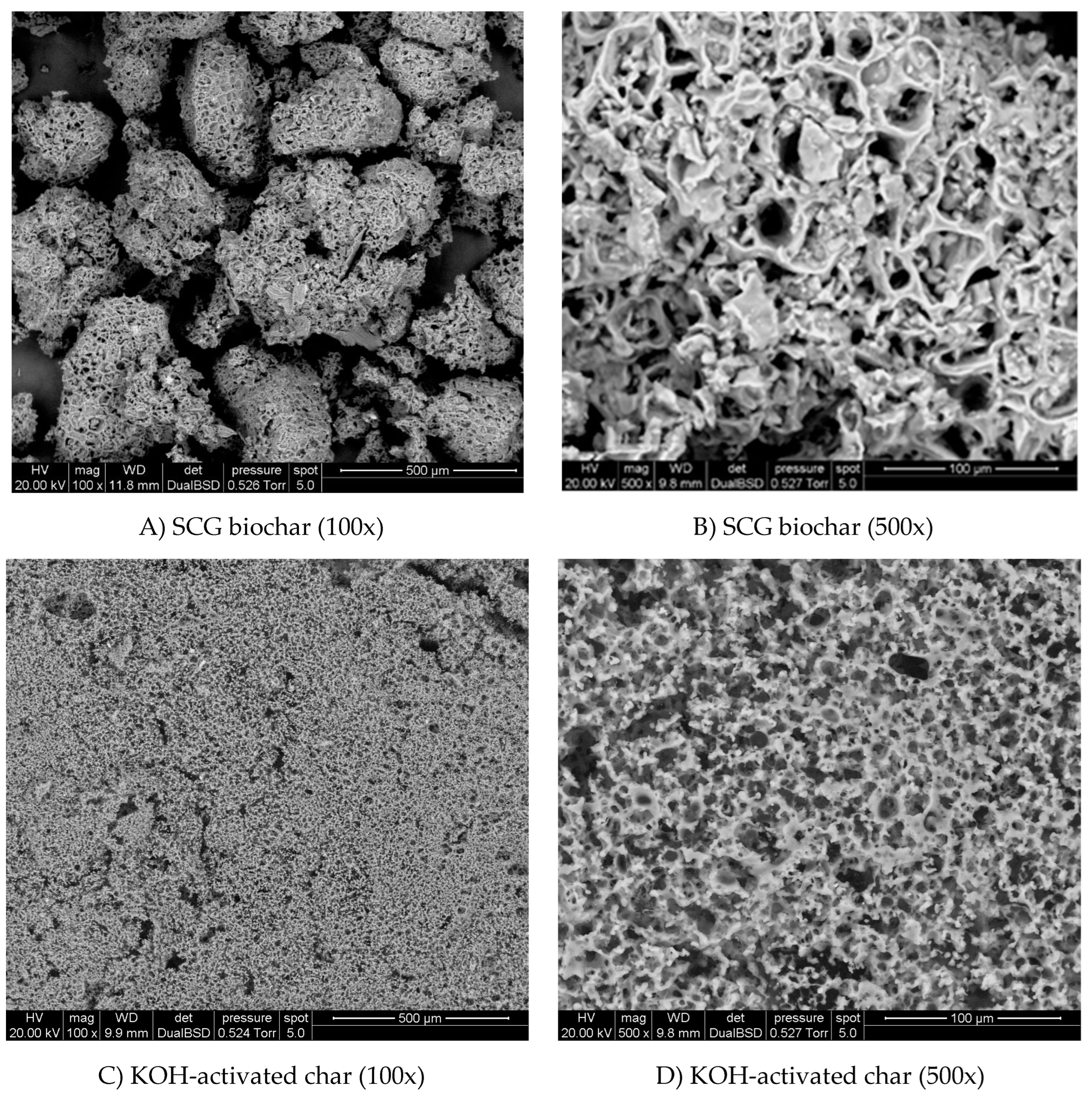 Preprints 145829 g003b