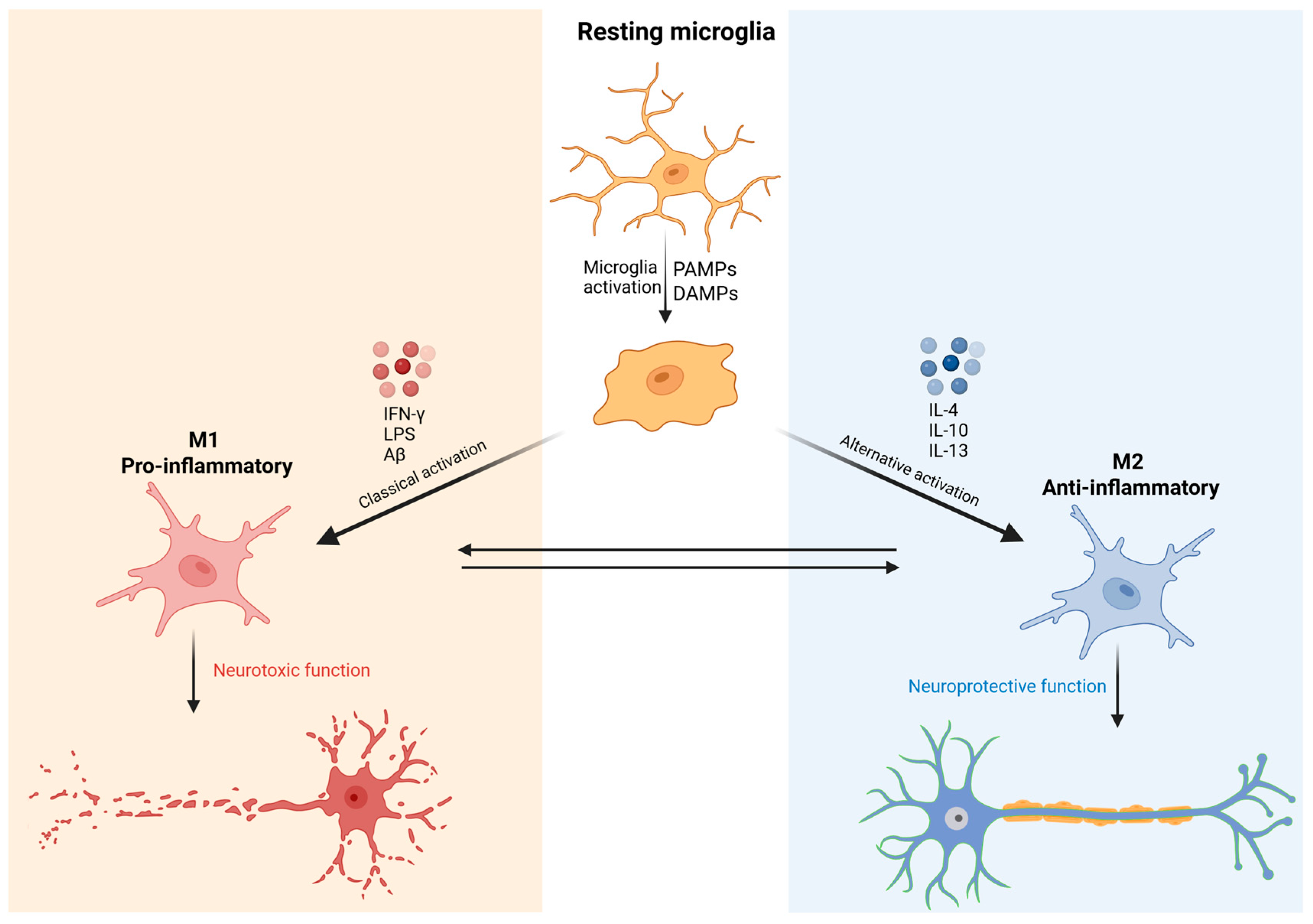Preprints 169785 g001
