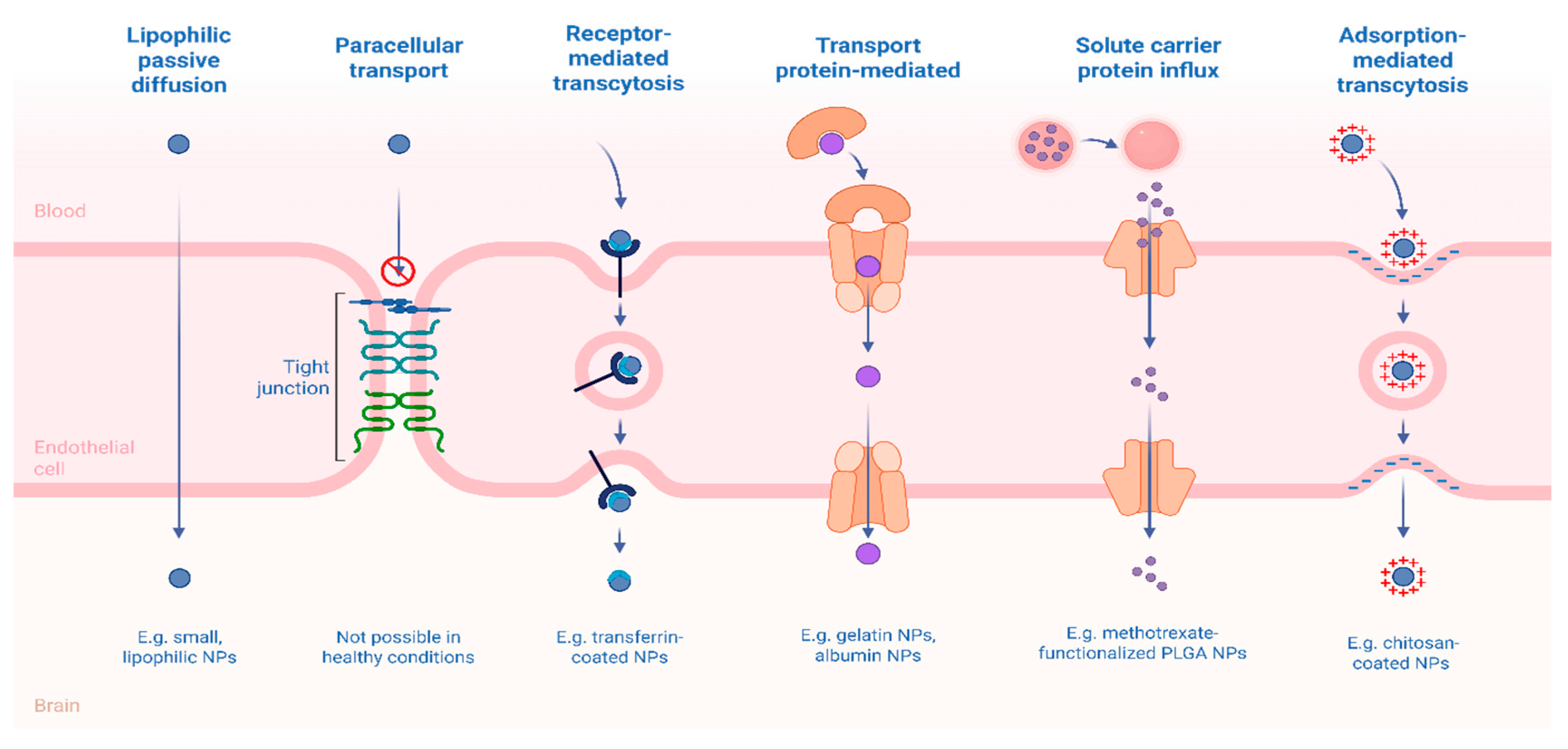 Preprints 169785 g004