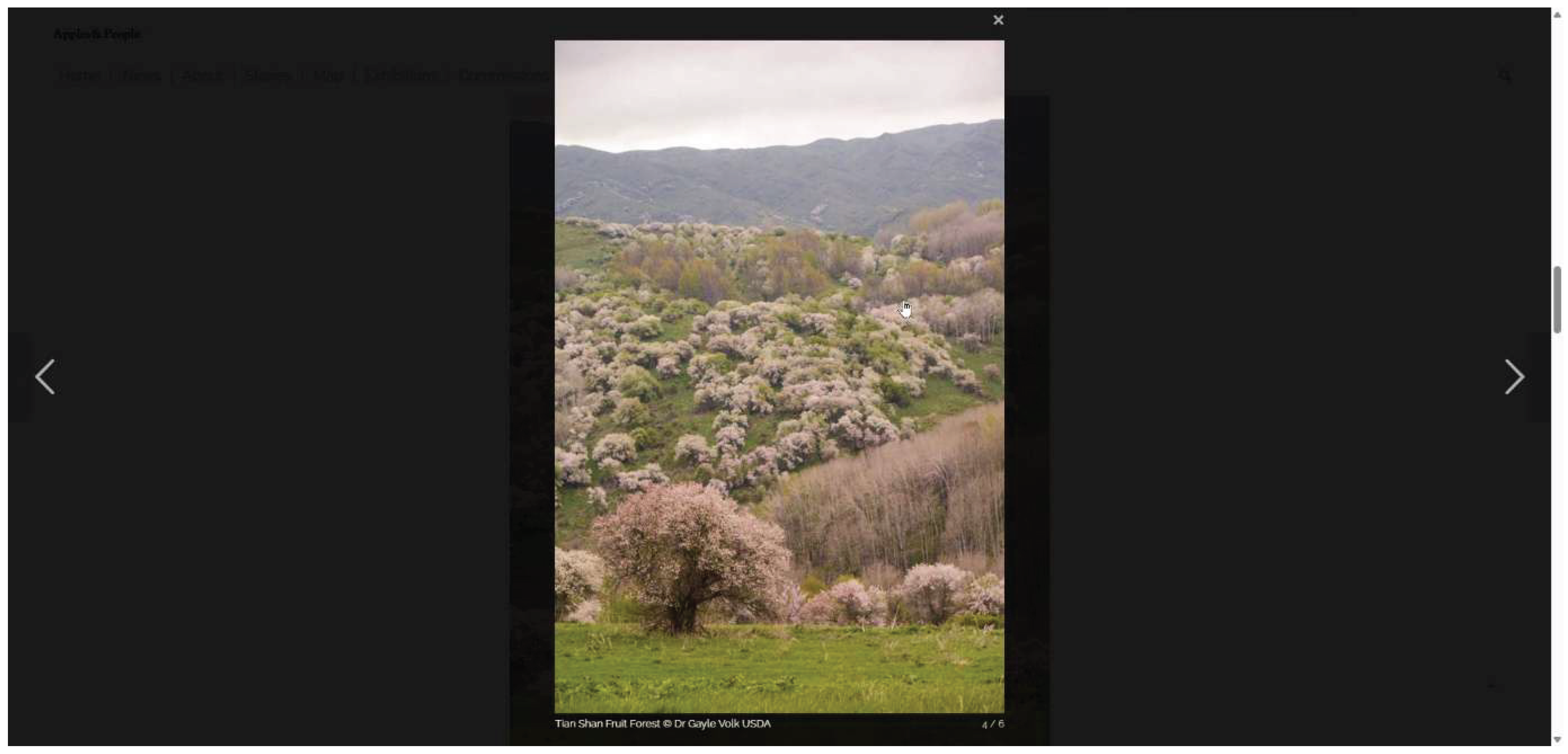 Preprints 187810 g002