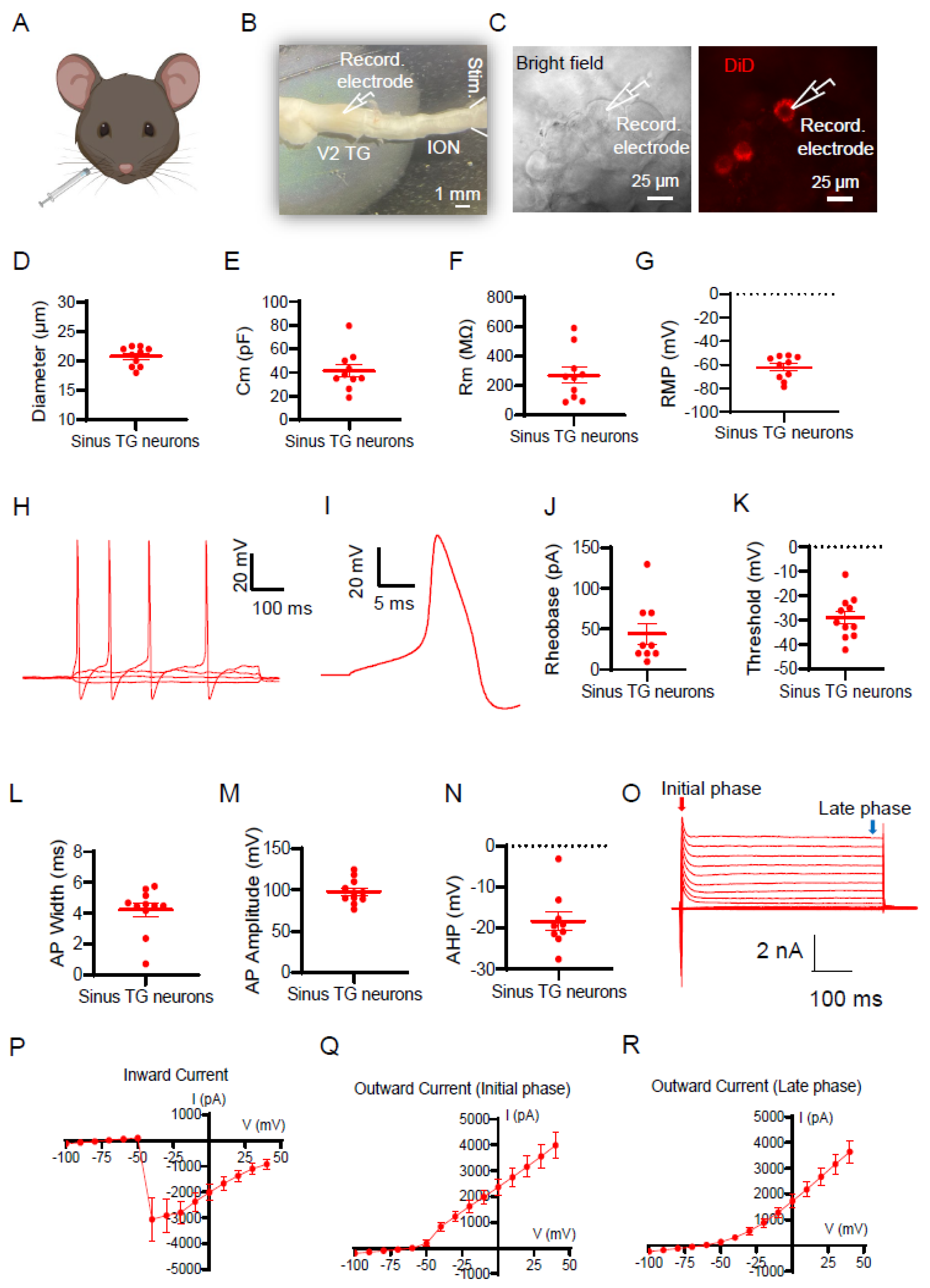 Preprints 199392 g001