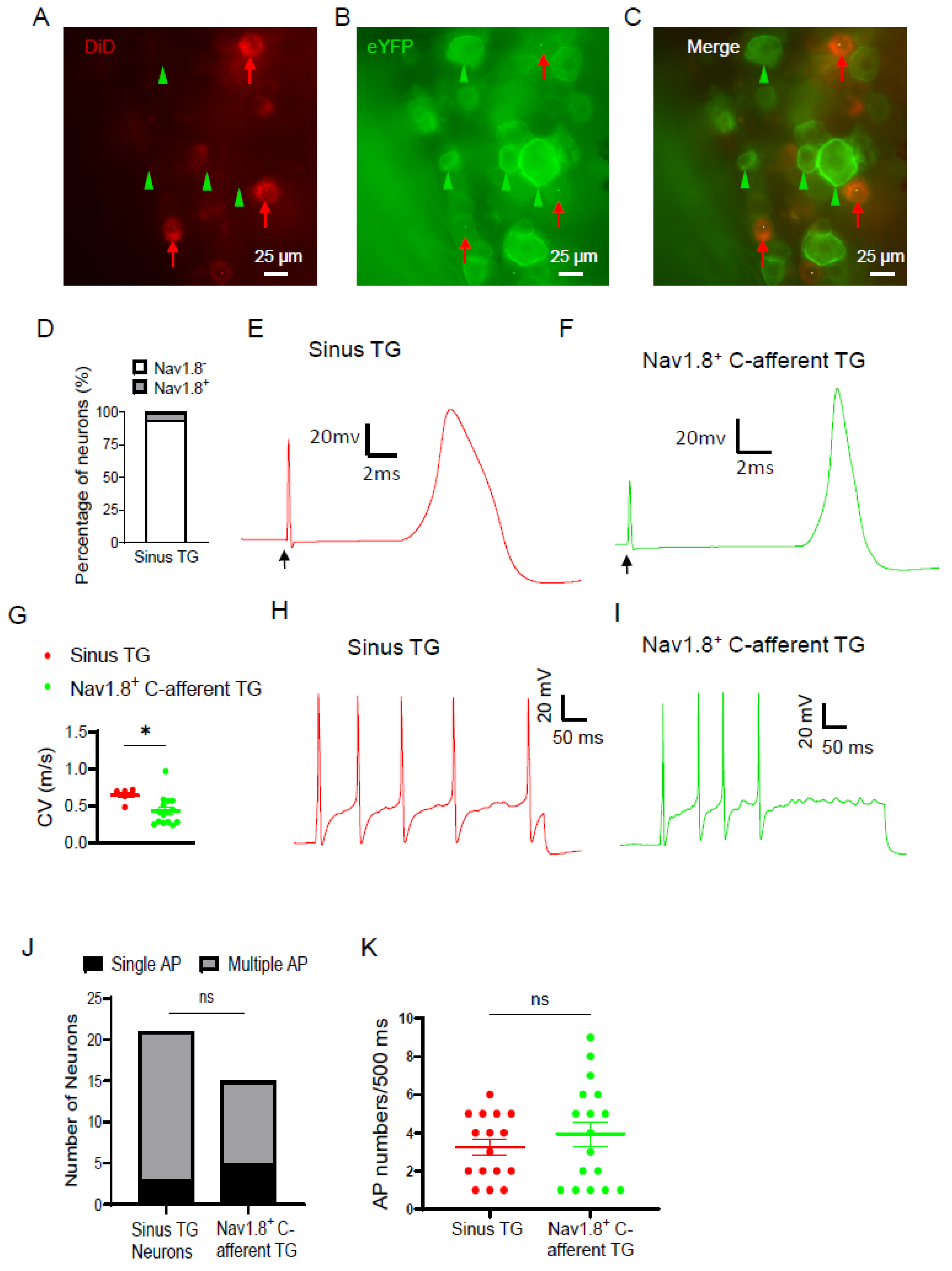 Preprints 199392 g002