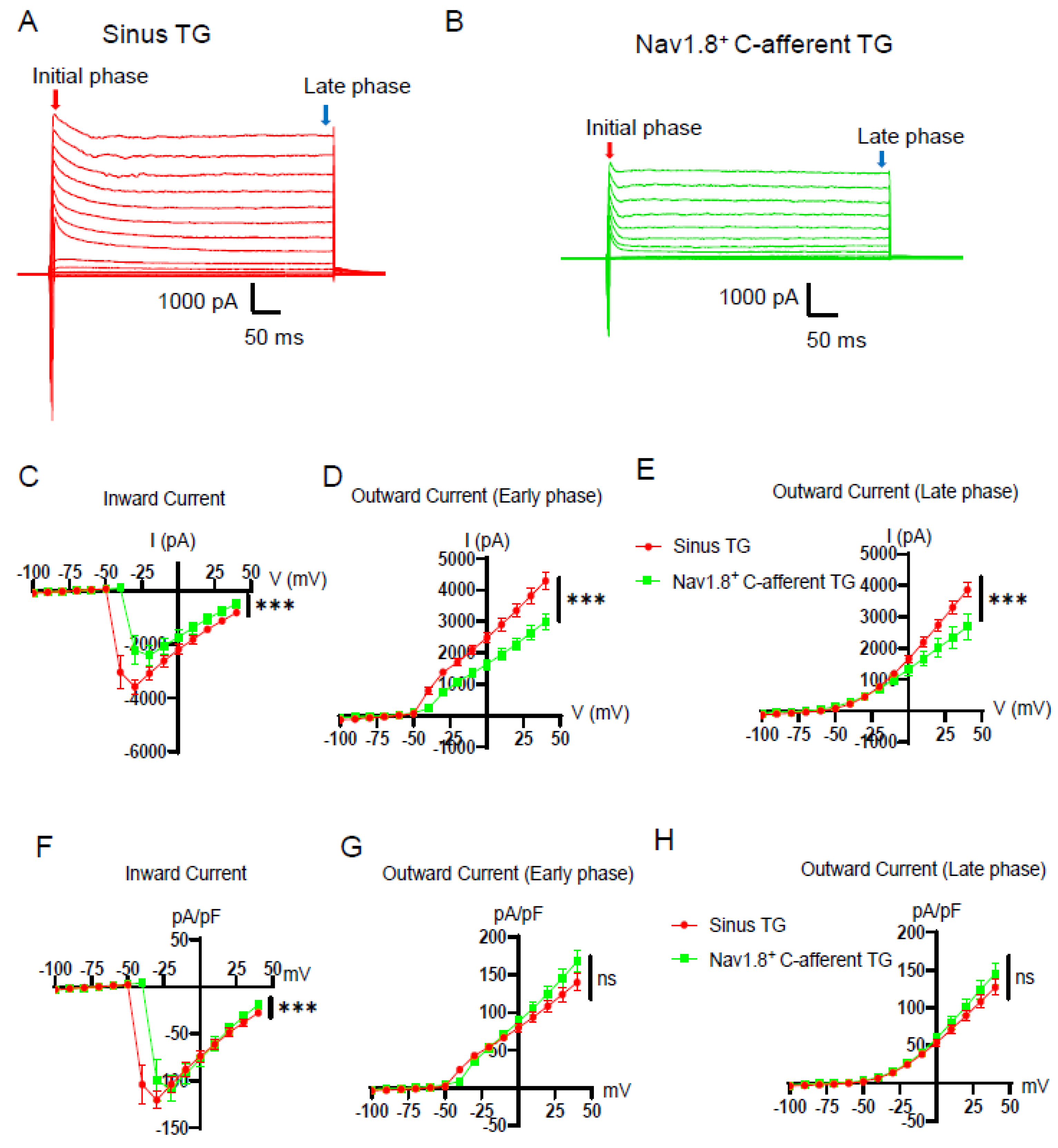 Preprints 199392 g004