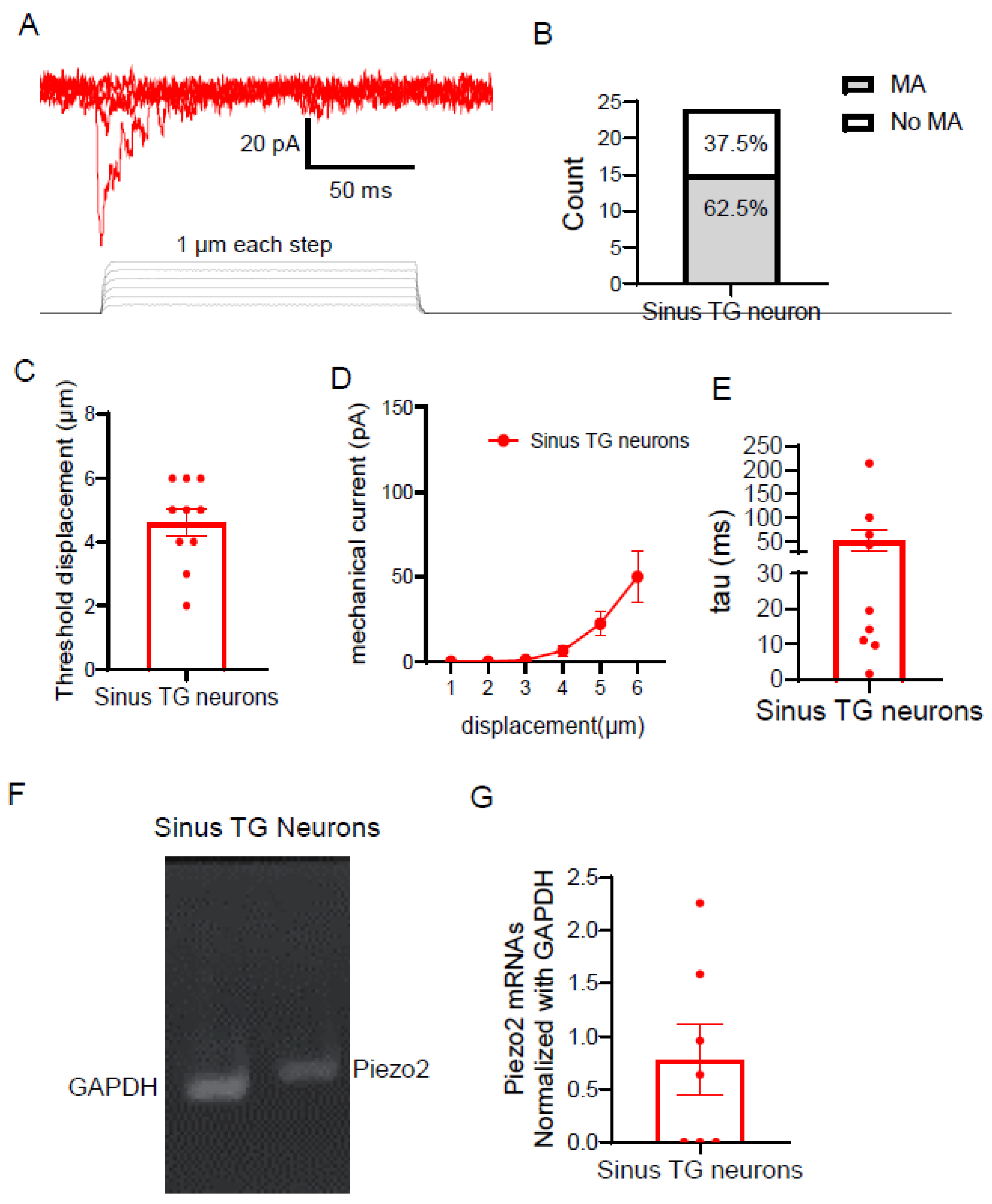 Preprints 199392 g006