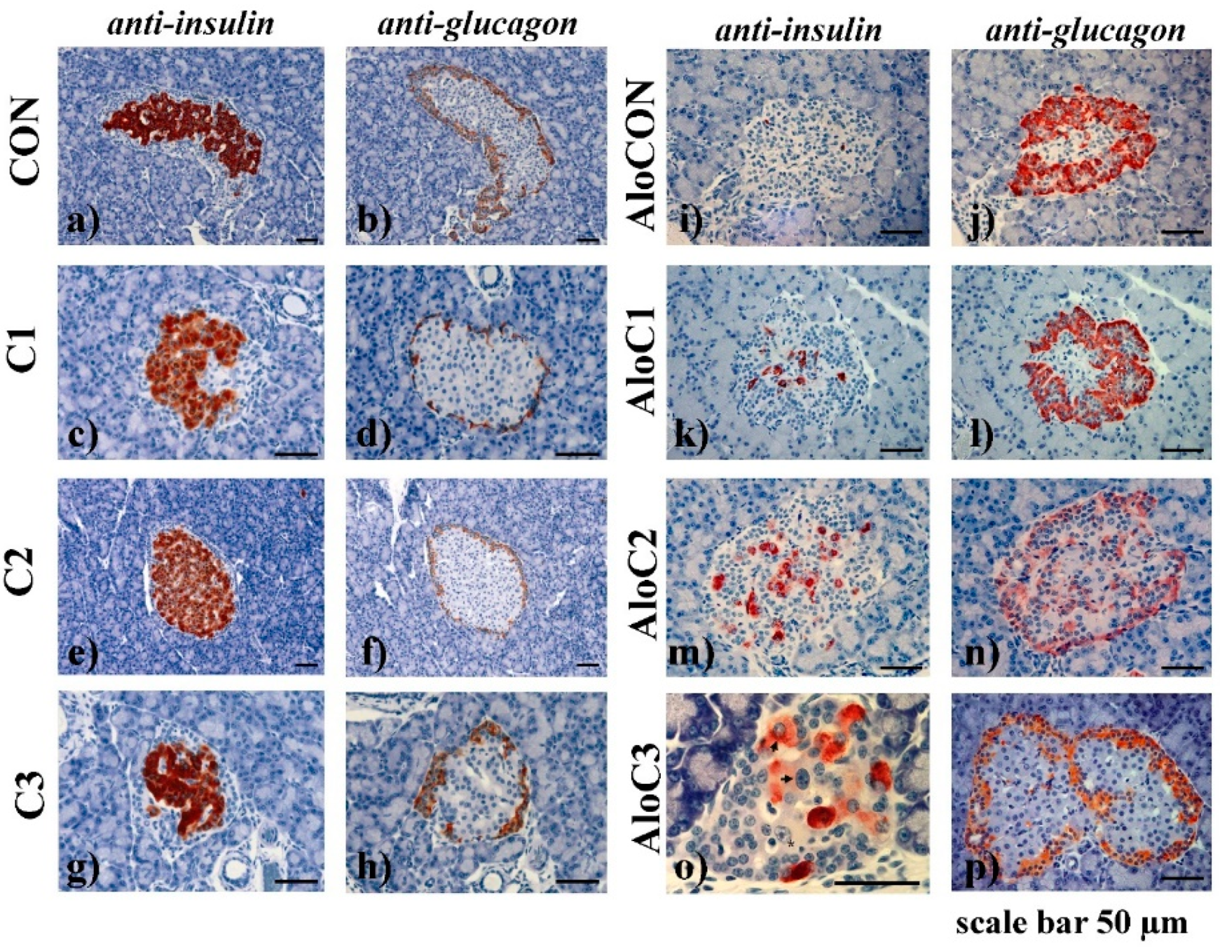 Preprints 156537 g004