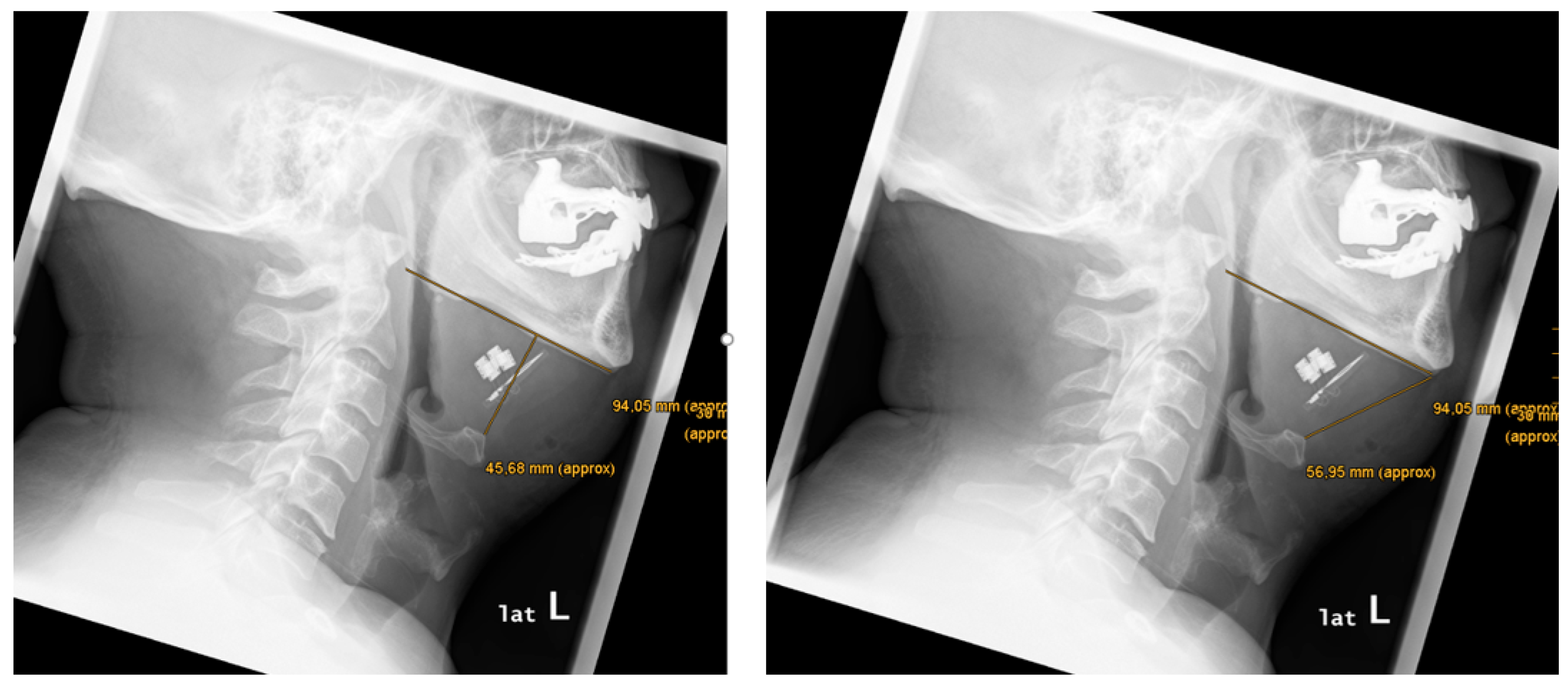 Preprints 164026 g002