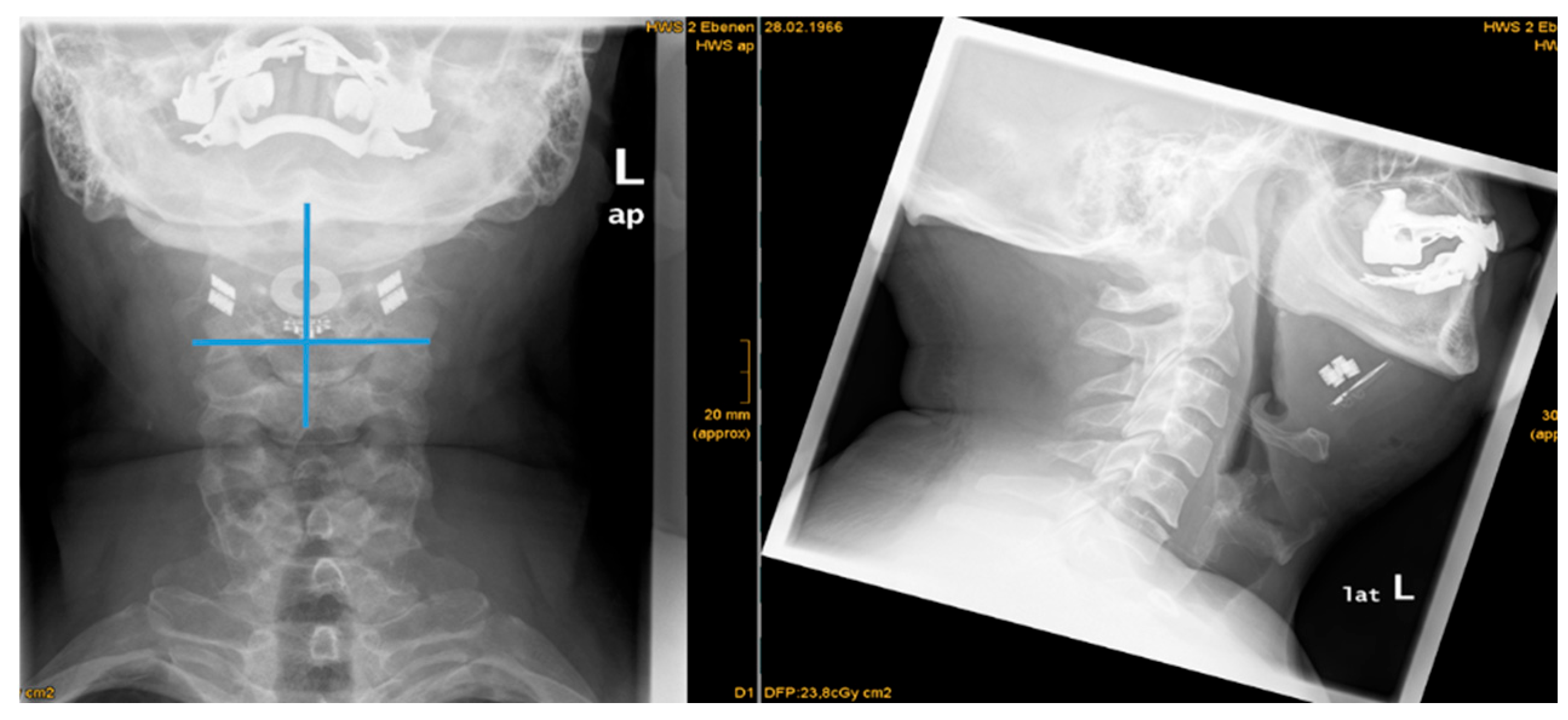 Preprints 164026 g003