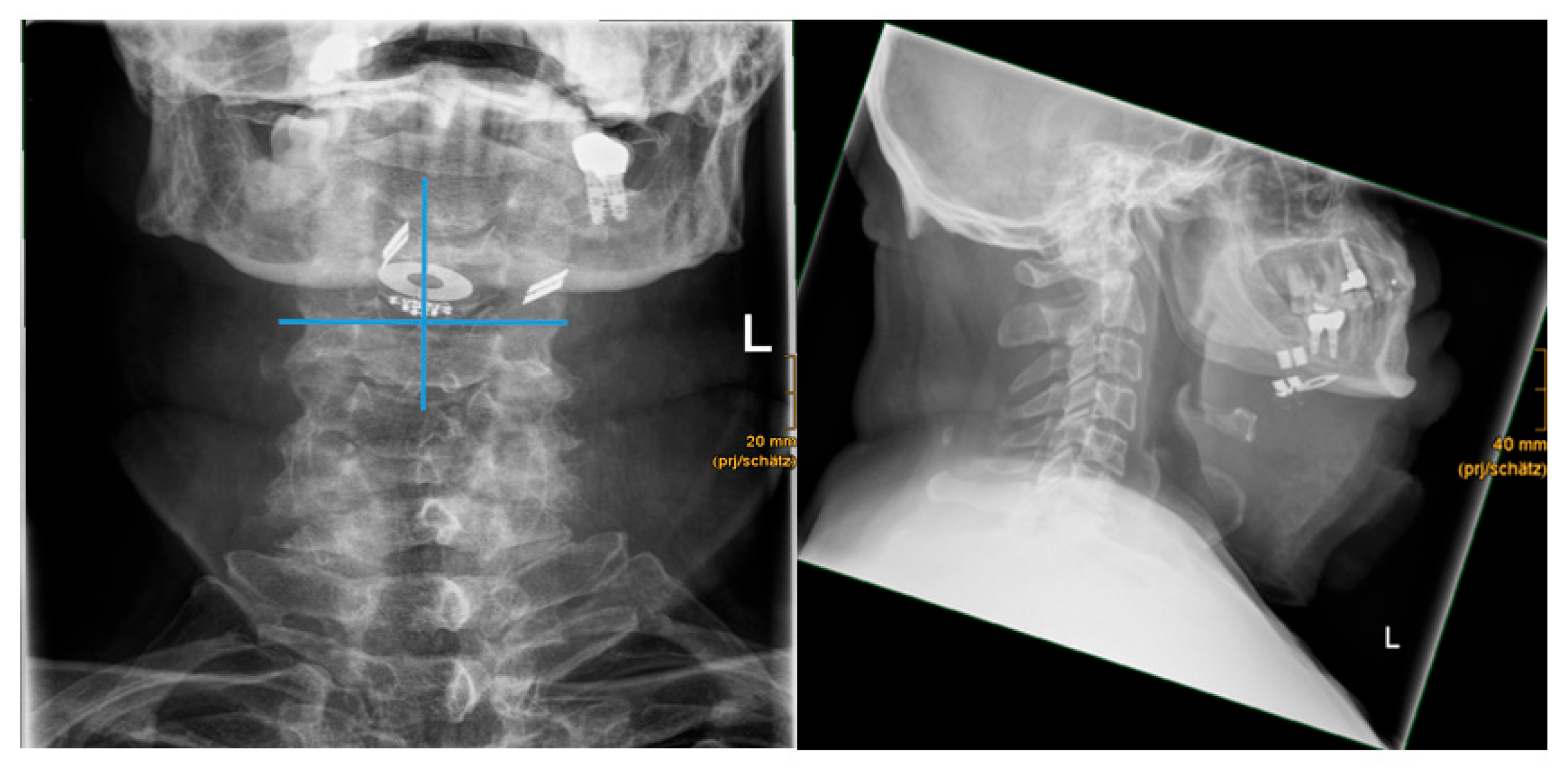 Preprints 164026 g004