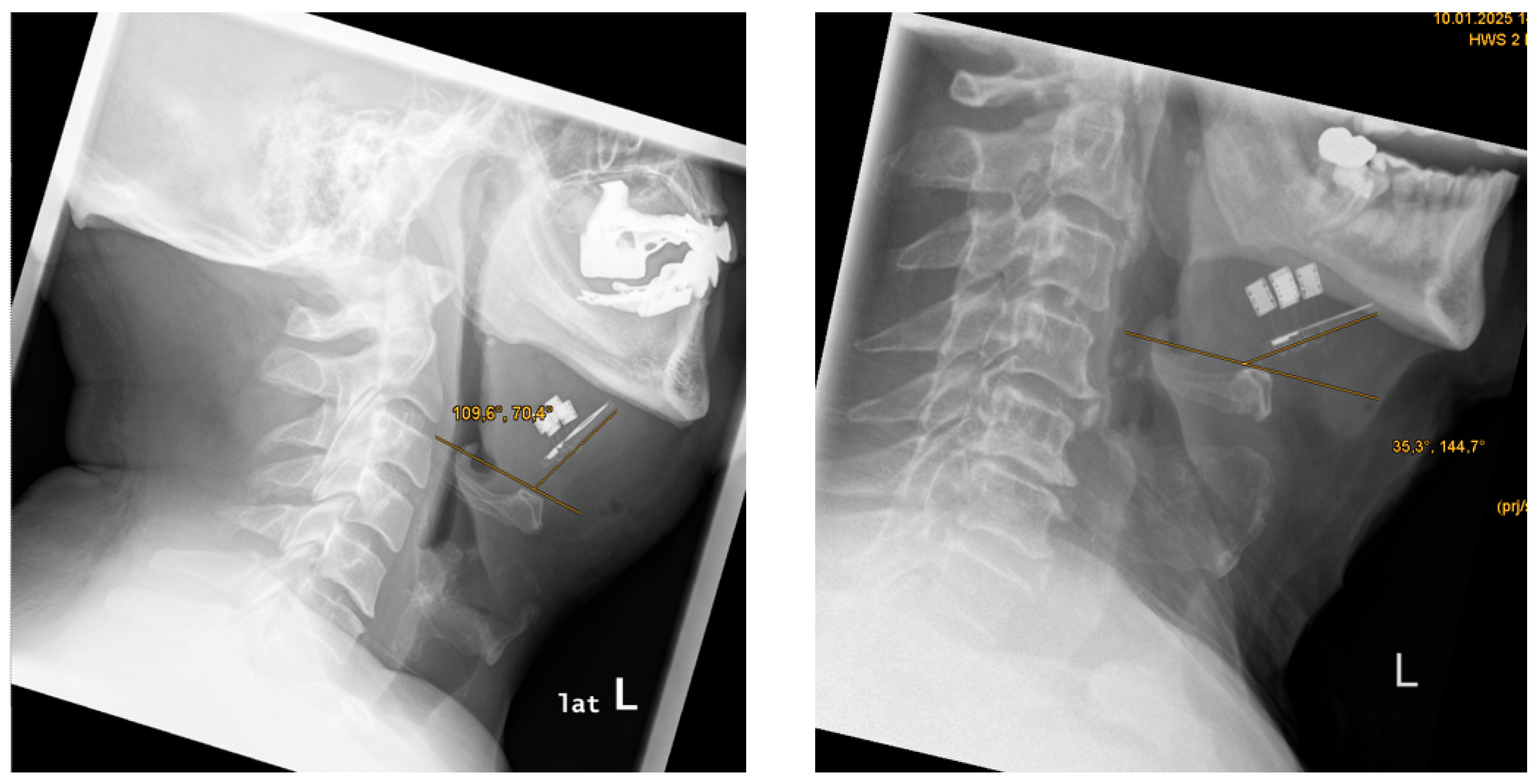 Preprints 164026 g005