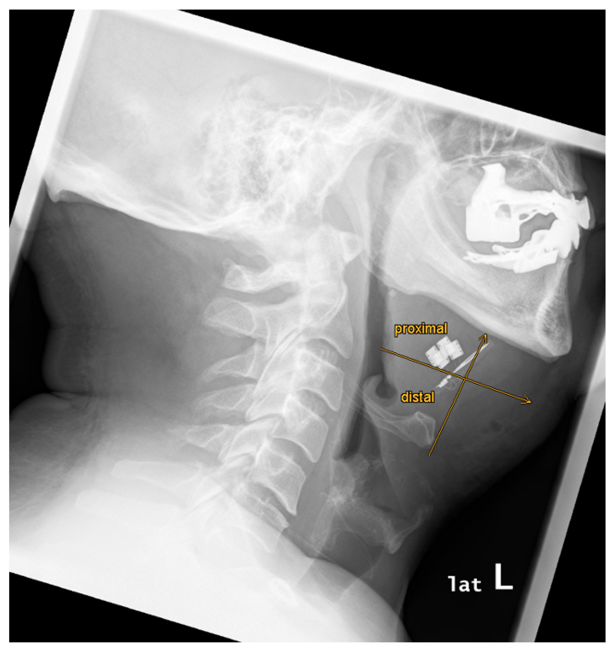 Preprints 164026 g006