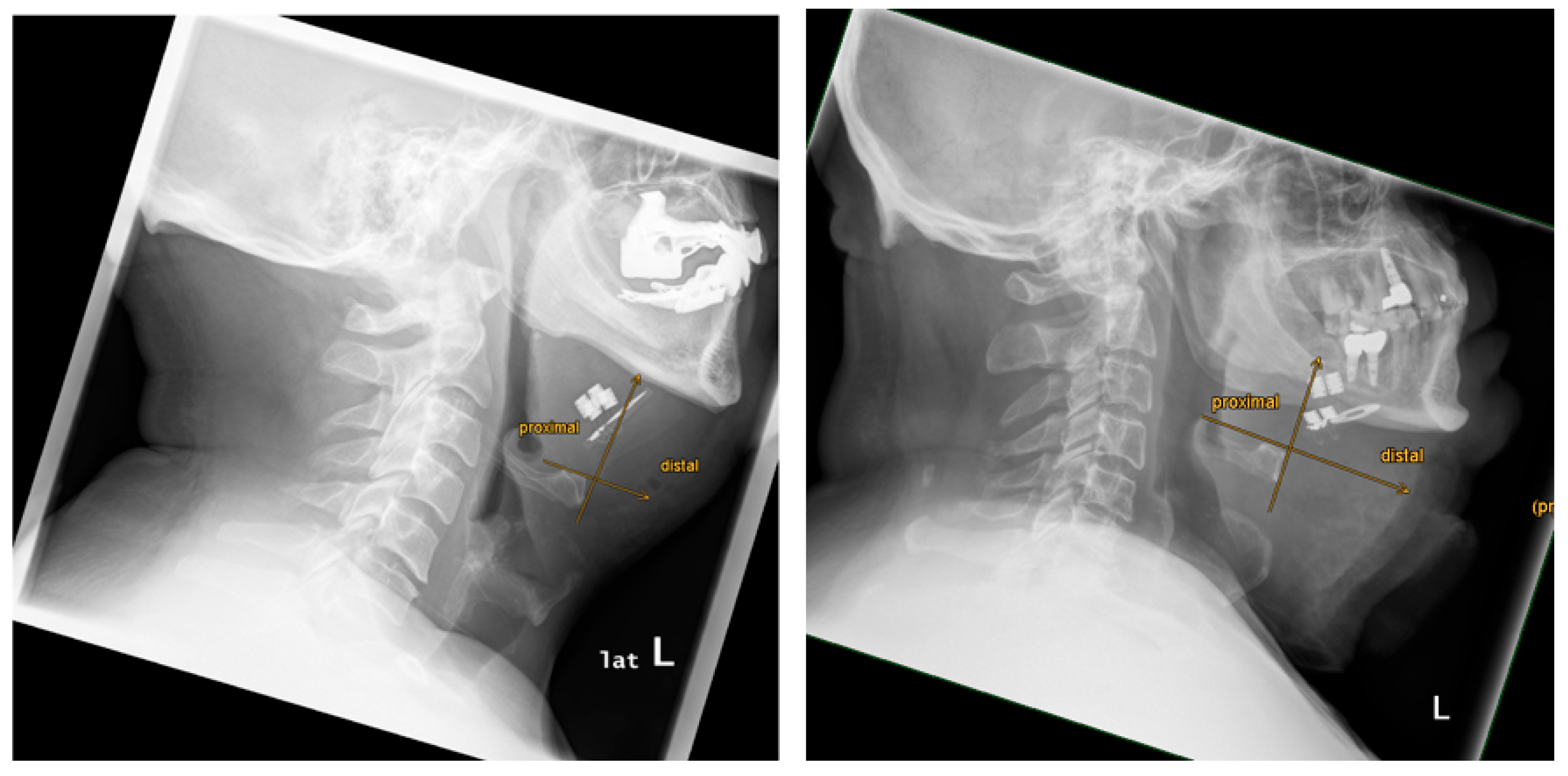 Preprints 164026 g007