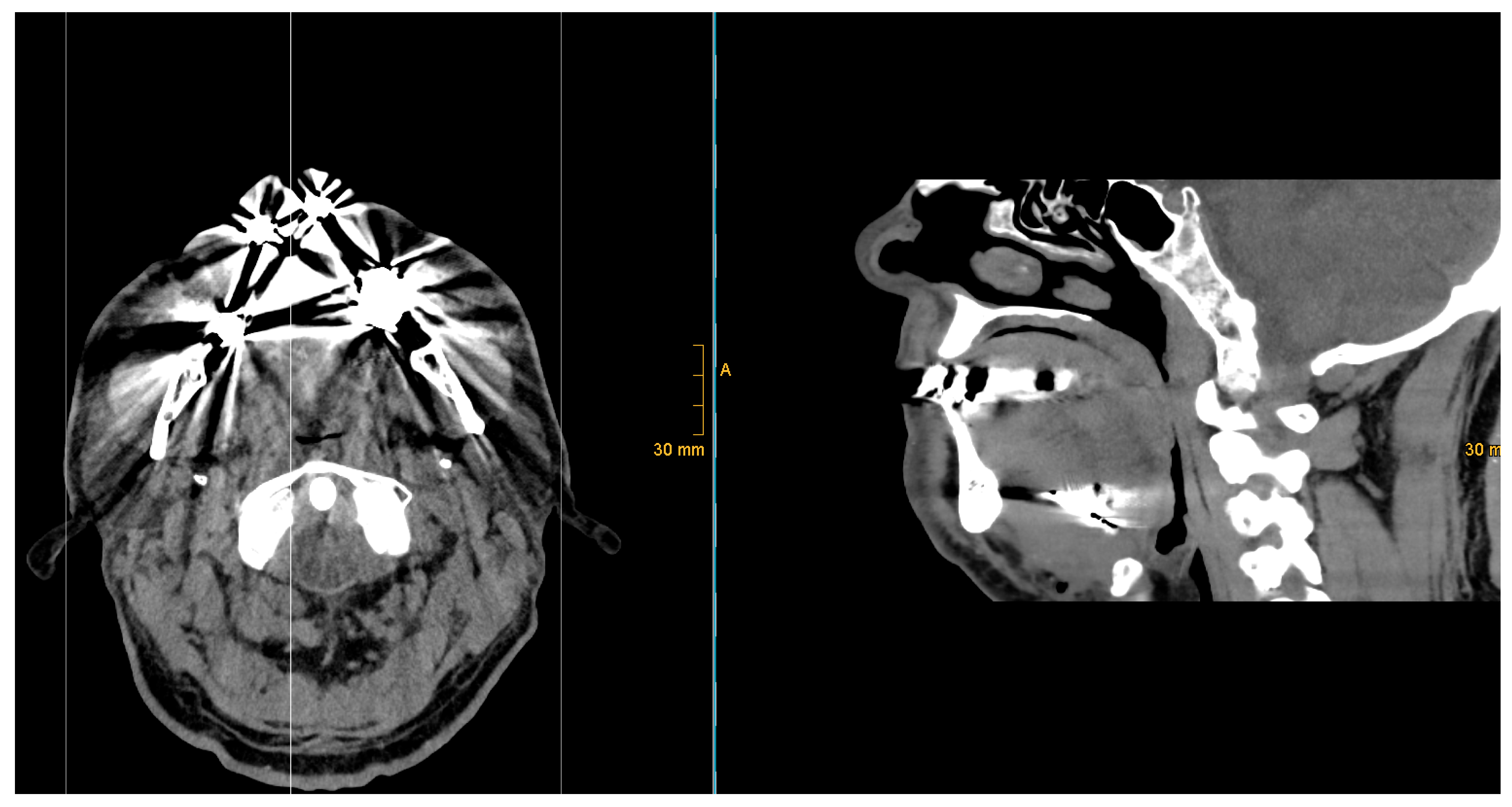 Preprints 164026 g008